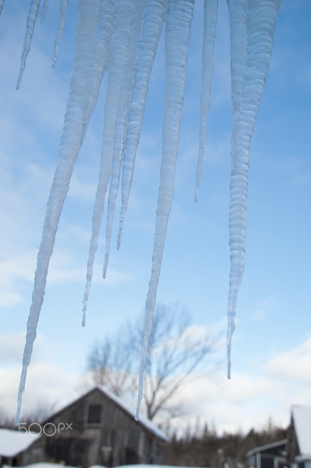 Nikon D3200 sample photo. Icicles and old farm buildings on a sunny winter day with snow l photography