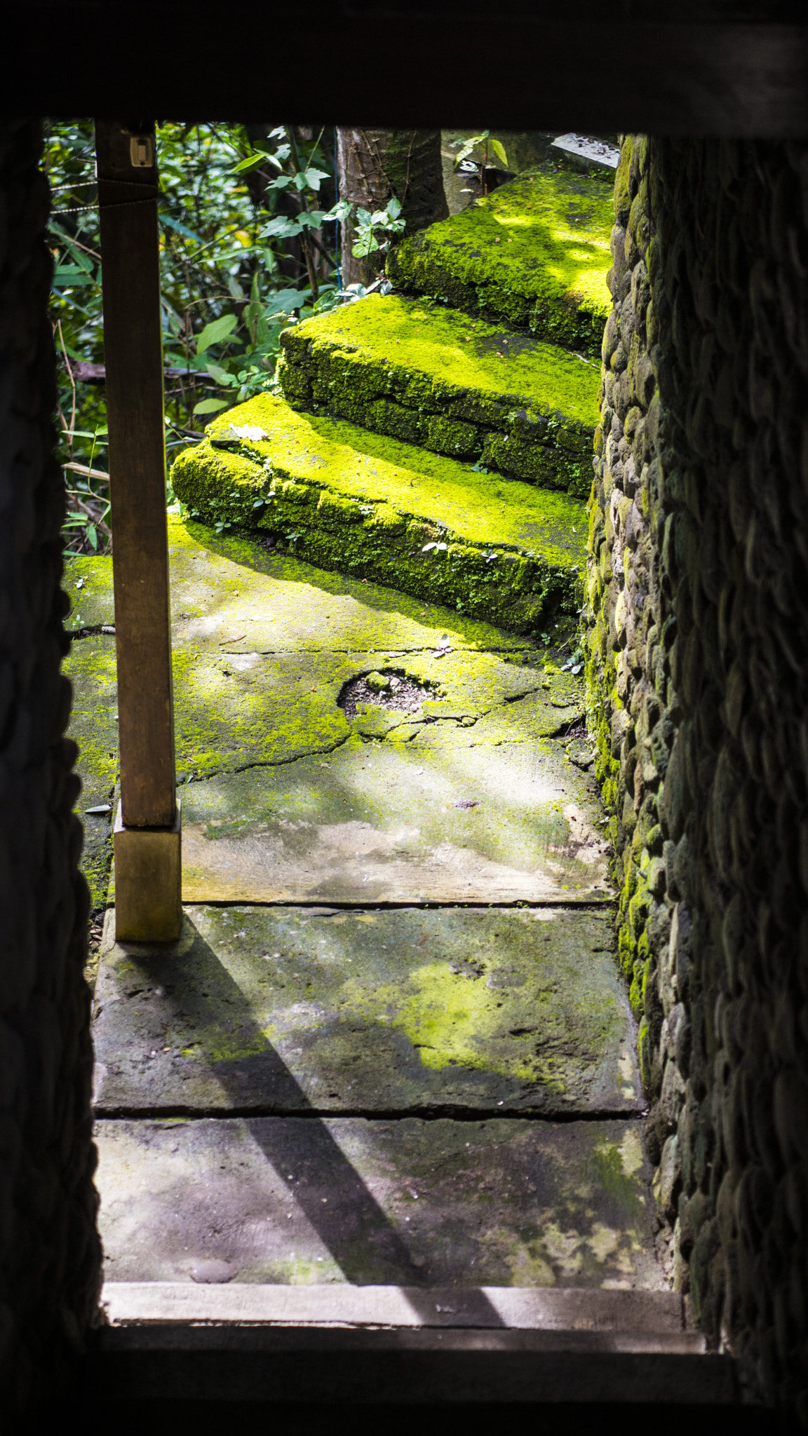 Nikon AF-S Nikkor 24-70mm F2.8E ED VR sample photo. The green way photography