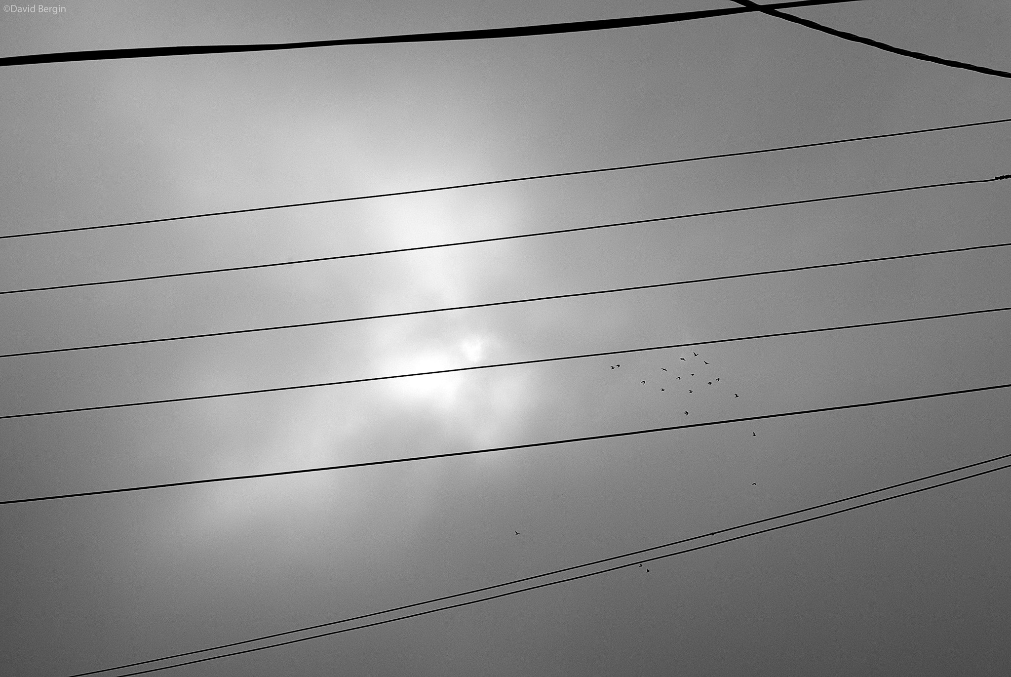 Nikon D3000 sample photo. Across photography