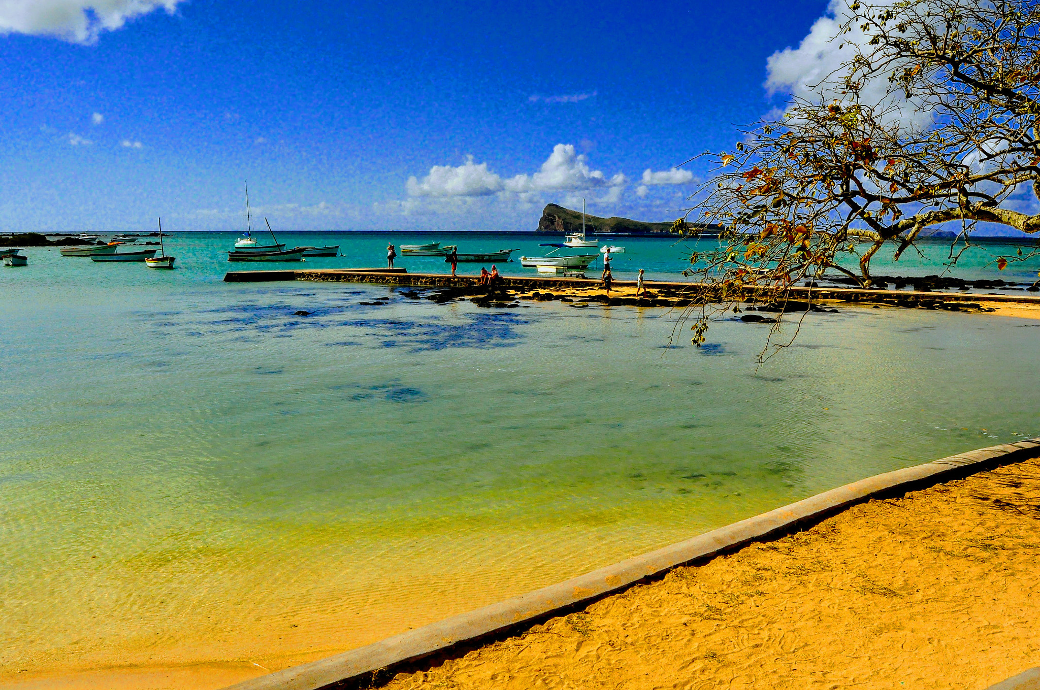Nikon D90 + Nikon AF-S DX Nikkor 18-55mm F3.5-5.6G II sample photo. Blues from mauritius photography