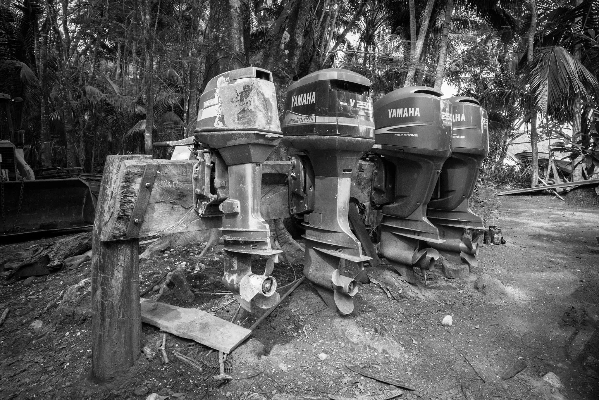 Nikon AF-S Nikkor 17-35mm F2.8D ED-IF sample photo. Costa rica photography