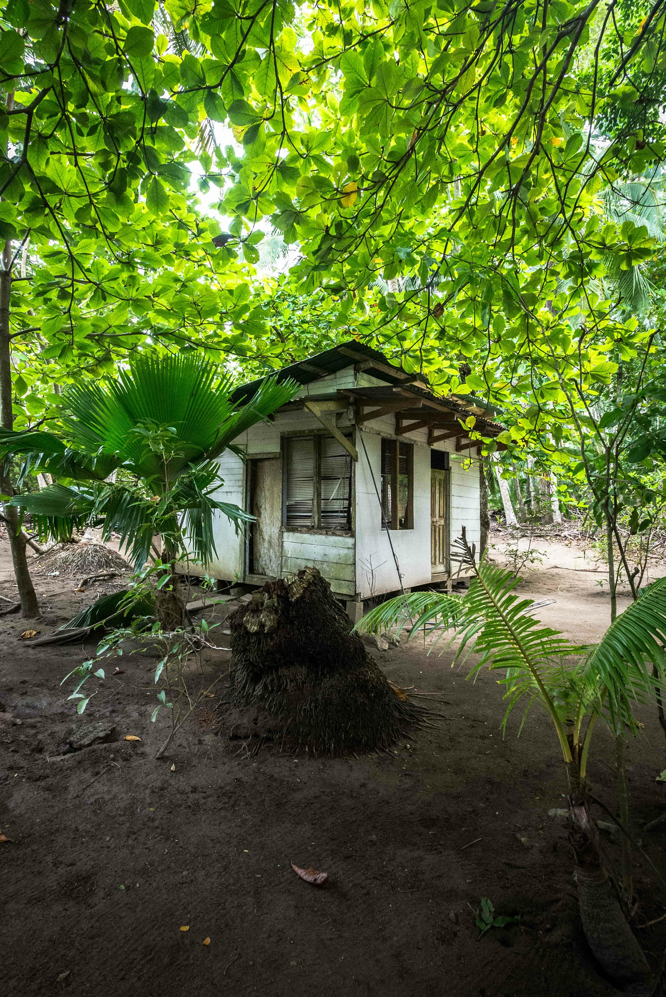 Nikon AF-S Nikkor 17-35mm F2.8D ED-IF sample photo. Costa rica photography