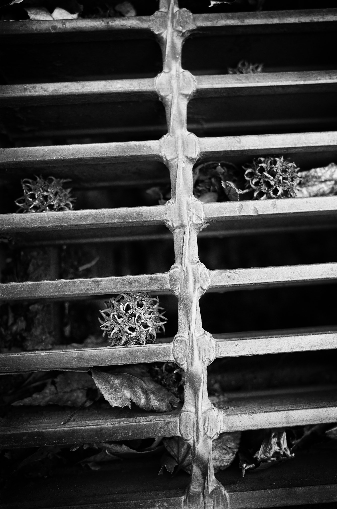 Ricoh GR + GR Lens sample photo