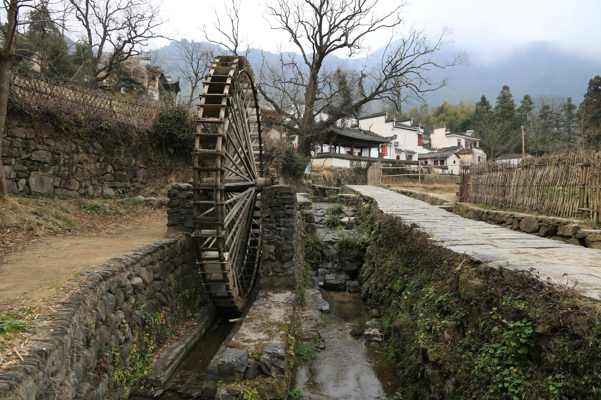 Canon EOS 760D (EOS Rebel T6s / EOS 8000D) sample photo