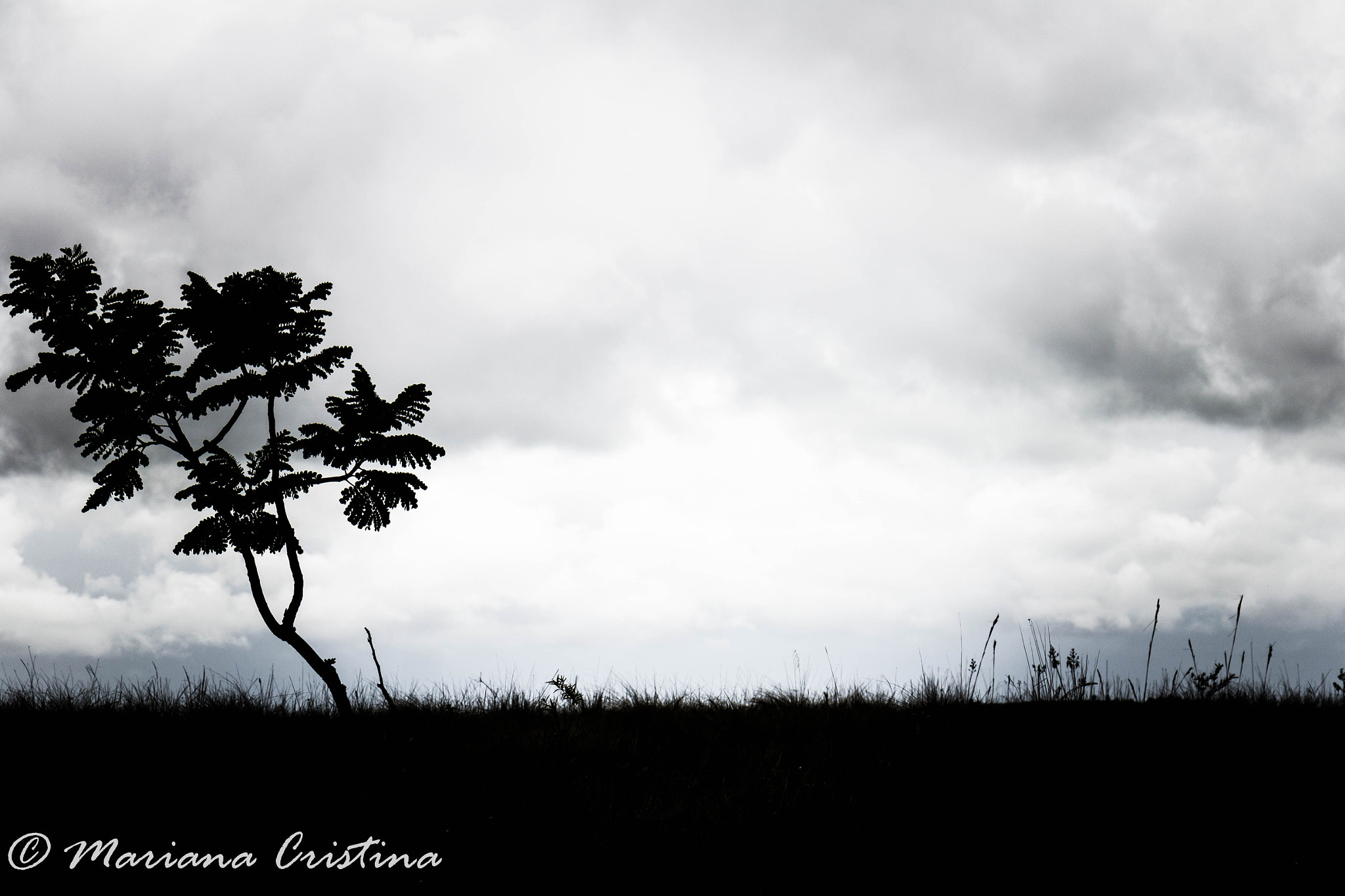 Canon EOS 1200D (EOS Rebel T5 / EOS Kiss X70 / EOS Hi) sample photo. Mariana cristina photography