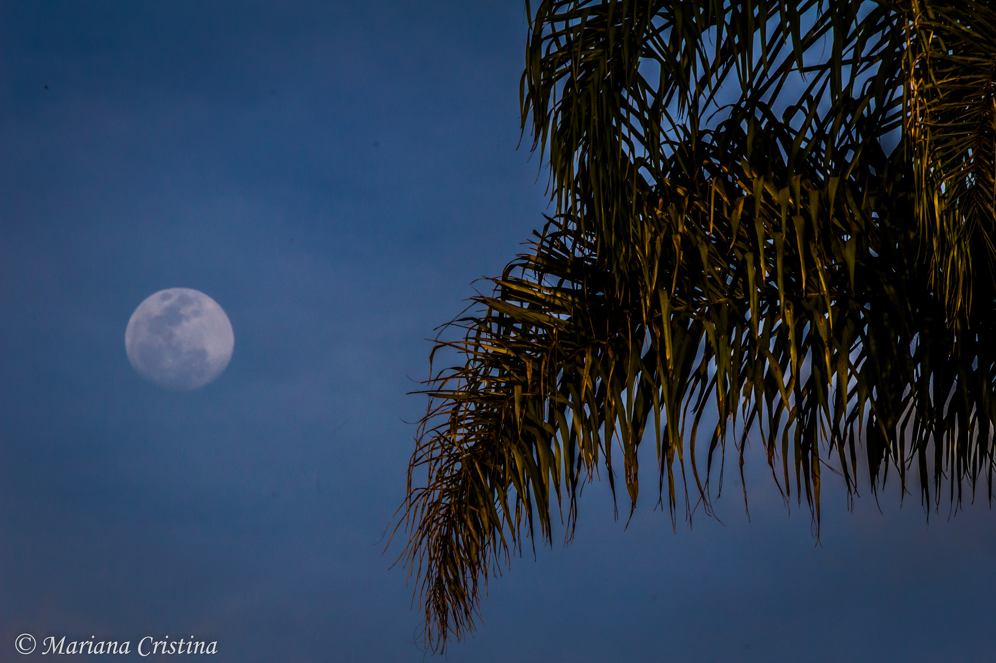 Canon EF 70-300mm F4-5.6 IS USM sample photo. Img photography