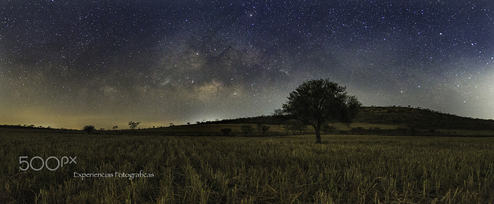 Canon EOS-1D X + Canon EF 16-35mm F2.8L USM sample photo. Morning with the lonely tree photography