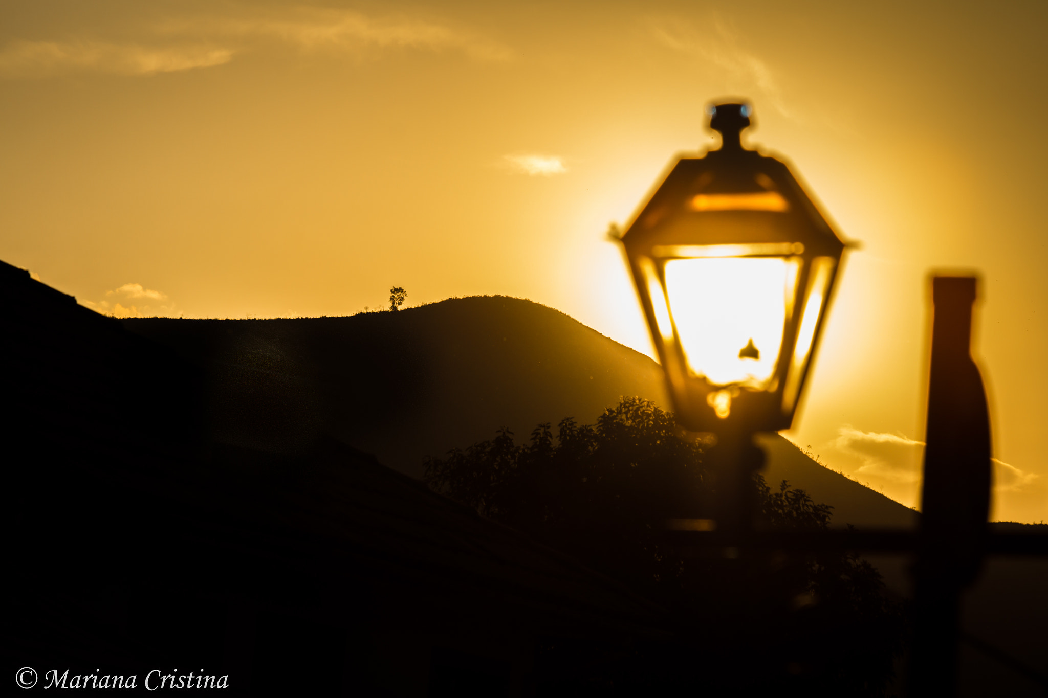 Canon EF 70-300mm F4-5.6 IS USM sample photo. Img photography