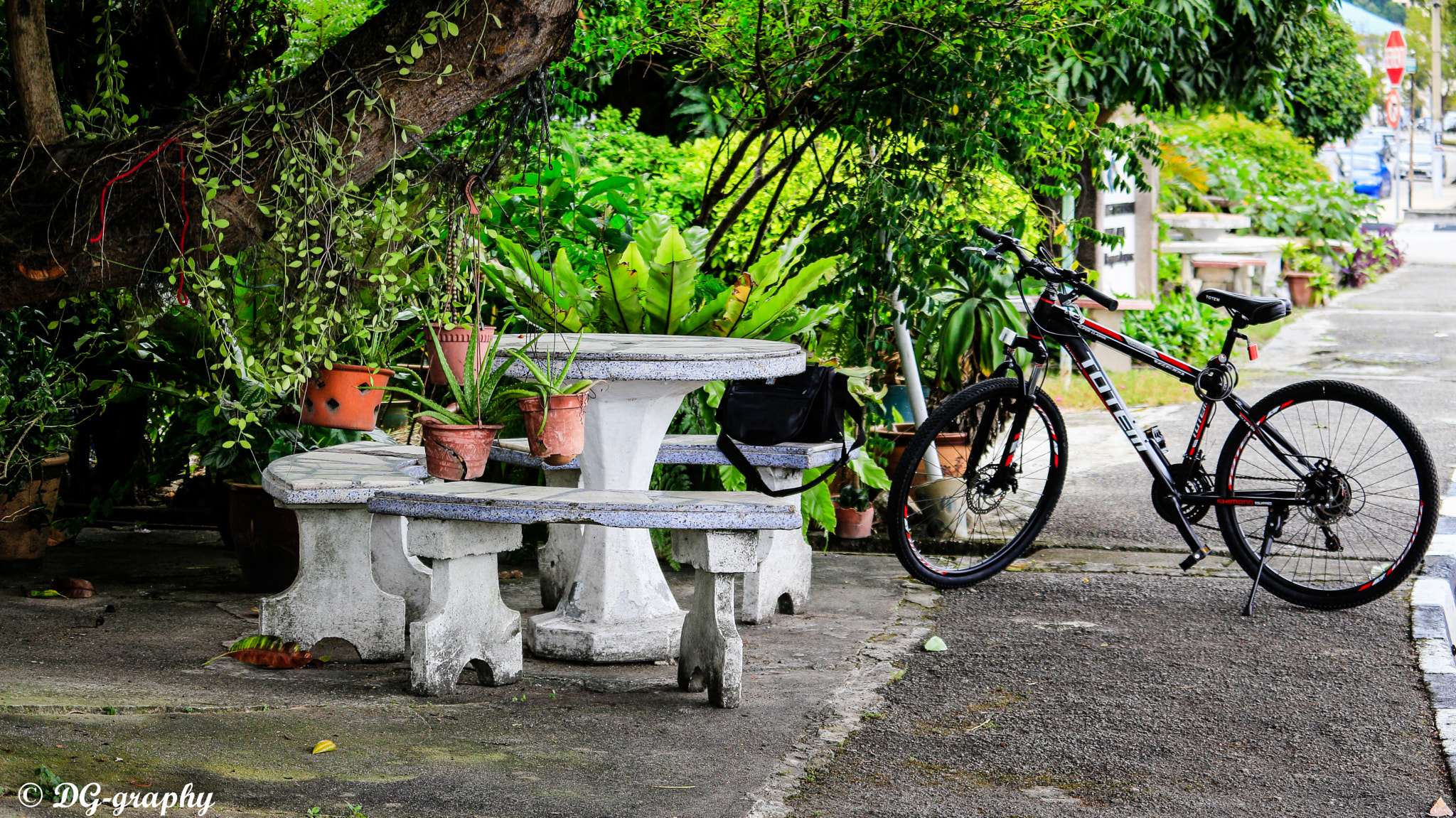 Canon EOS 700D (EOS Rebel T5i / EOS Kiss X7i) sample photo. Cool green place photography
