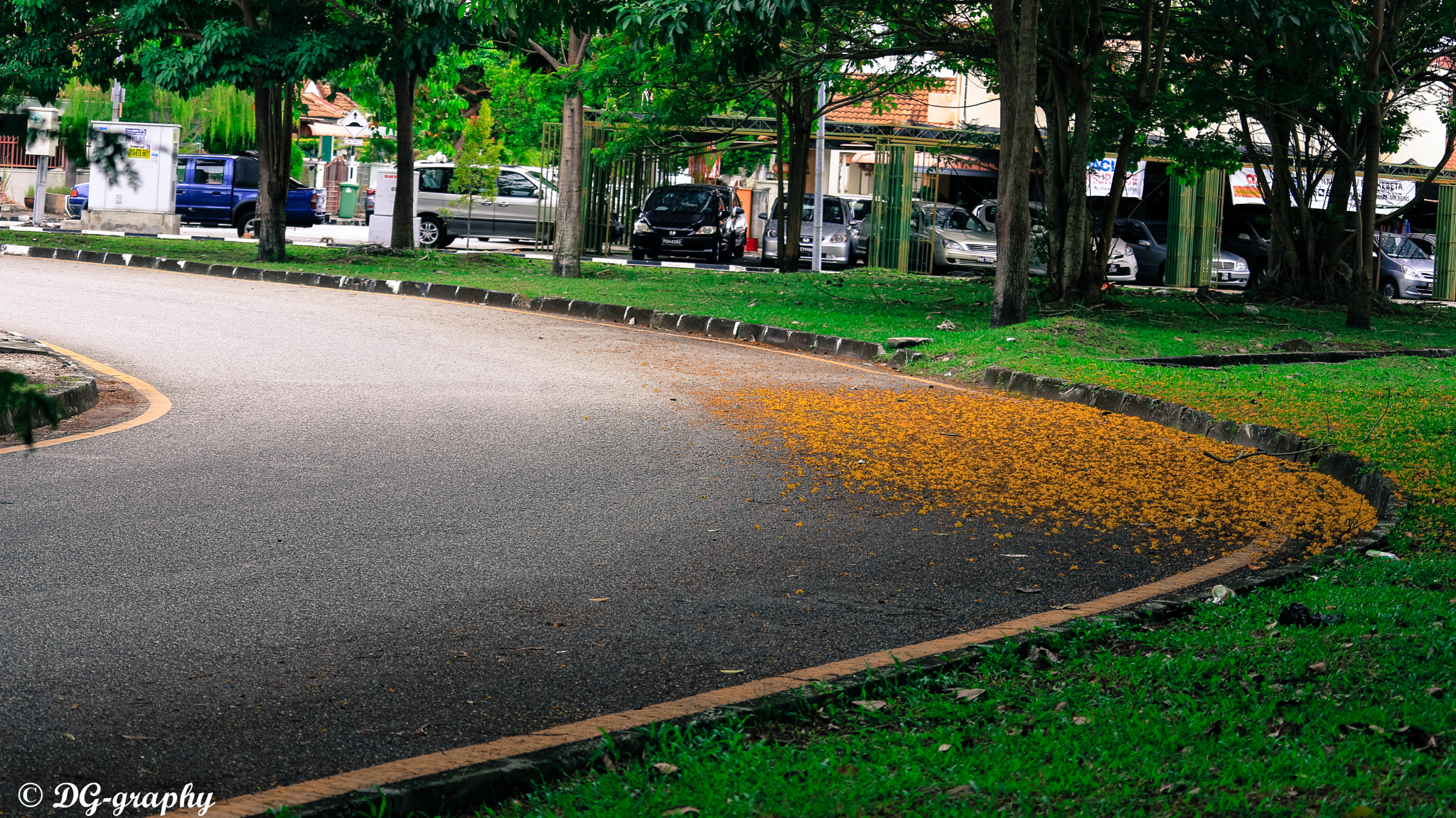Canon EOS 700D (EOS Rebel T5i / EOS Kiss X7i) sample photo. Greeny way photography