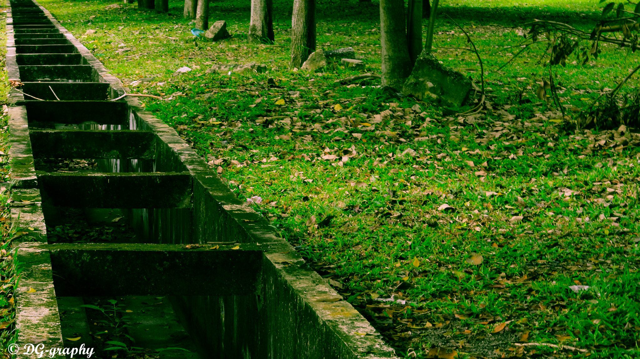 Canon EOS 700D (EOS Rebel T5i / EOS Kiss X7i) sample photo. Greeny land photography