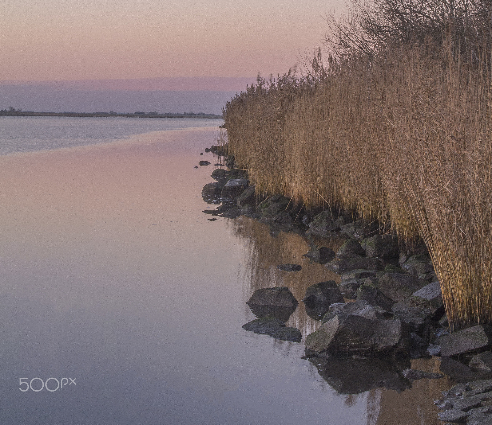 Nikon 1 S1 sample photo. Purple/pink sunrise in january photography