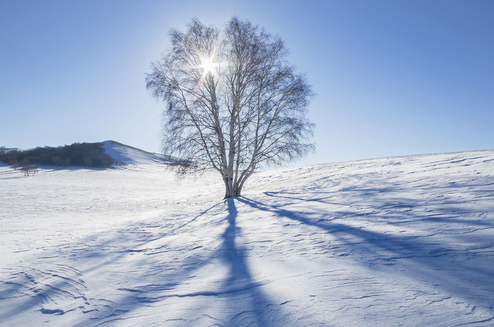 Pentax K-30 sample photo. Winter sunshine photography