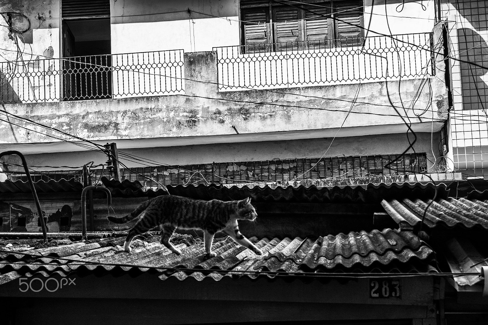 Samsung NX200 + Samsung NX 20-50mm F3.5-5.6 ED sample photo. Campina grande, brazil, 2017 photography