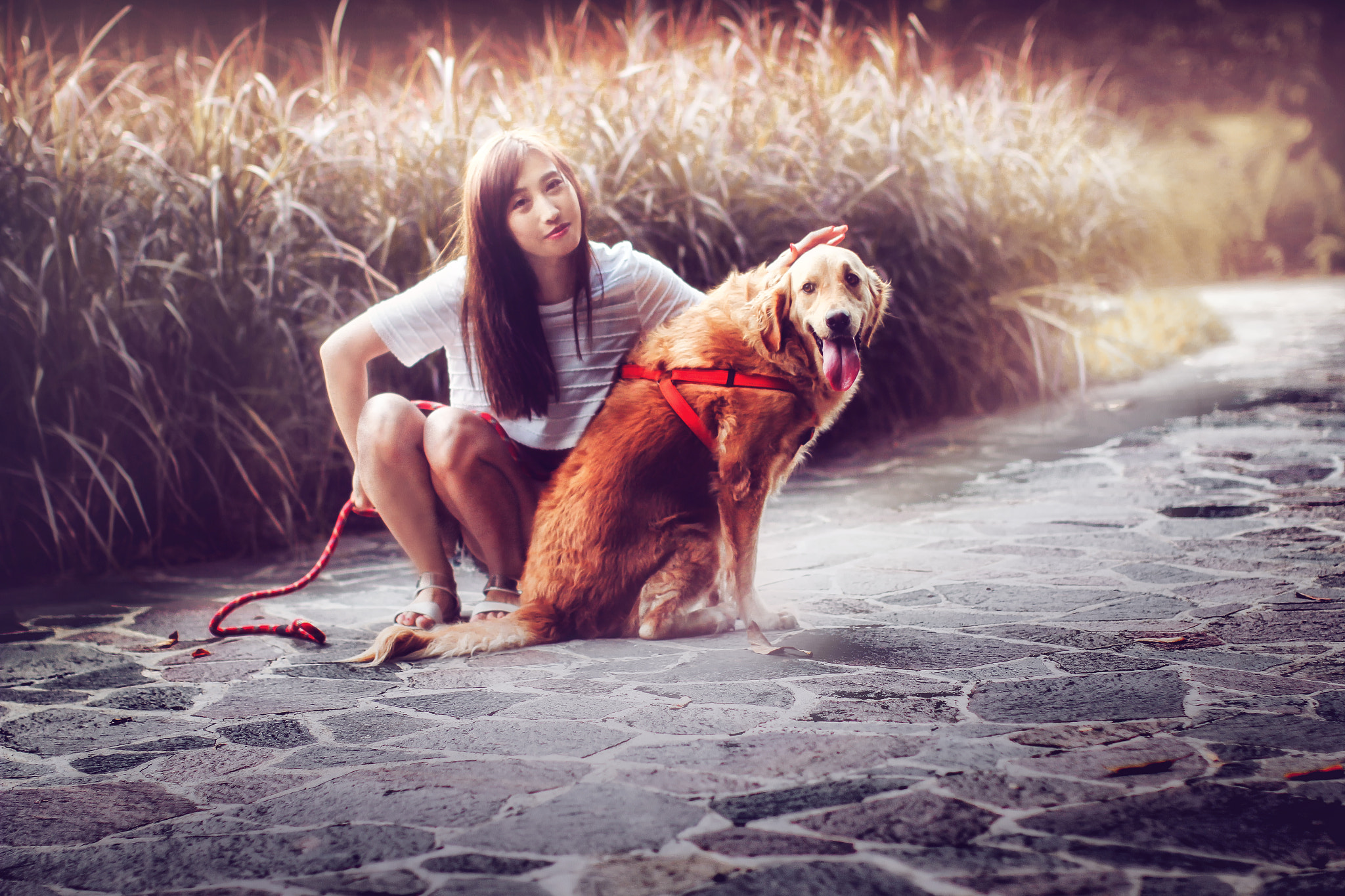 Canon EOS 550D (EOS Rebel T2i / EOS Kiss X4) + Canon EF 50mm F1.2L USM sample photo. Girl and she dog photography