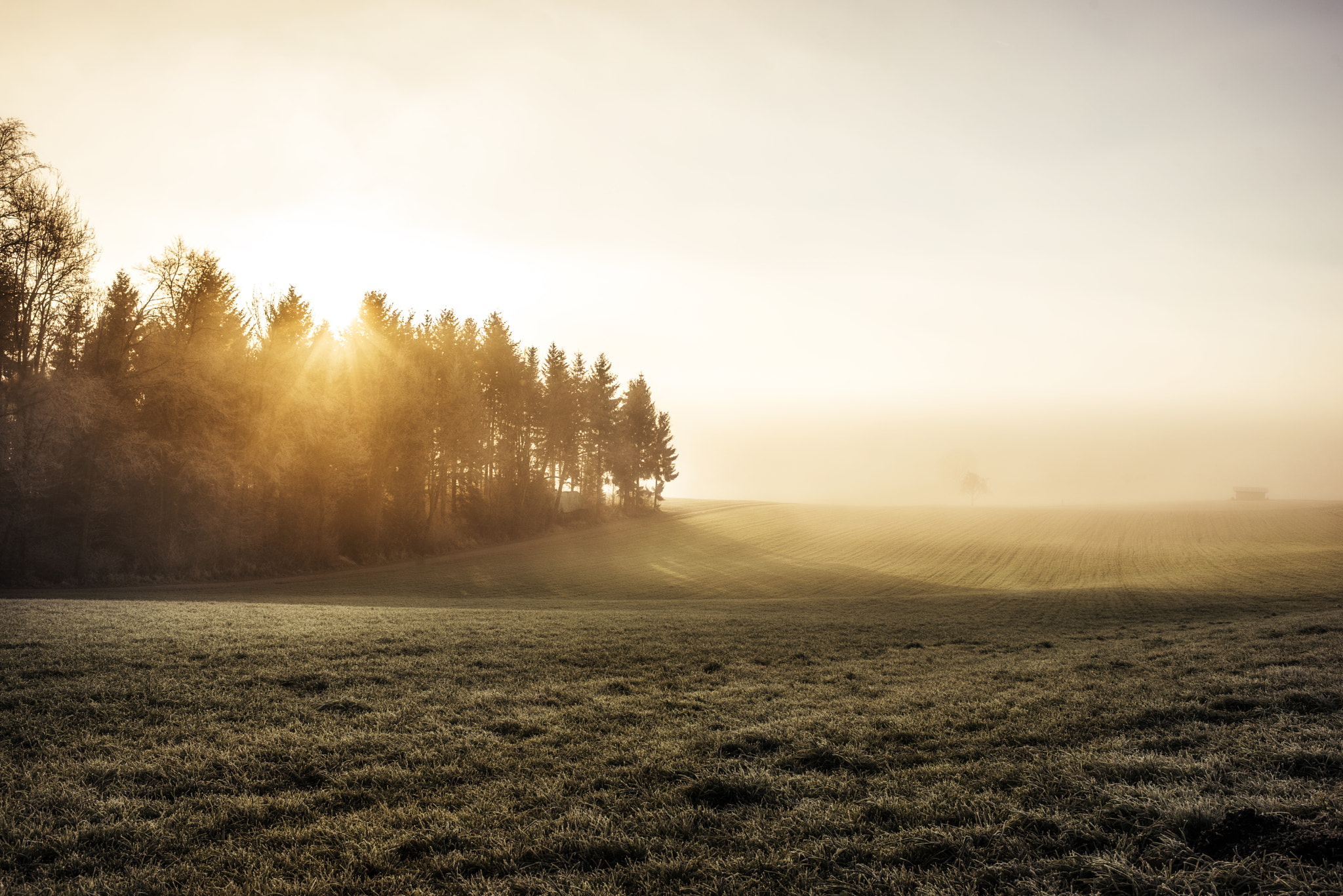 Nikon AF-S Nikkor 35mm F1.4G sample photo. Foggy sunrise photography