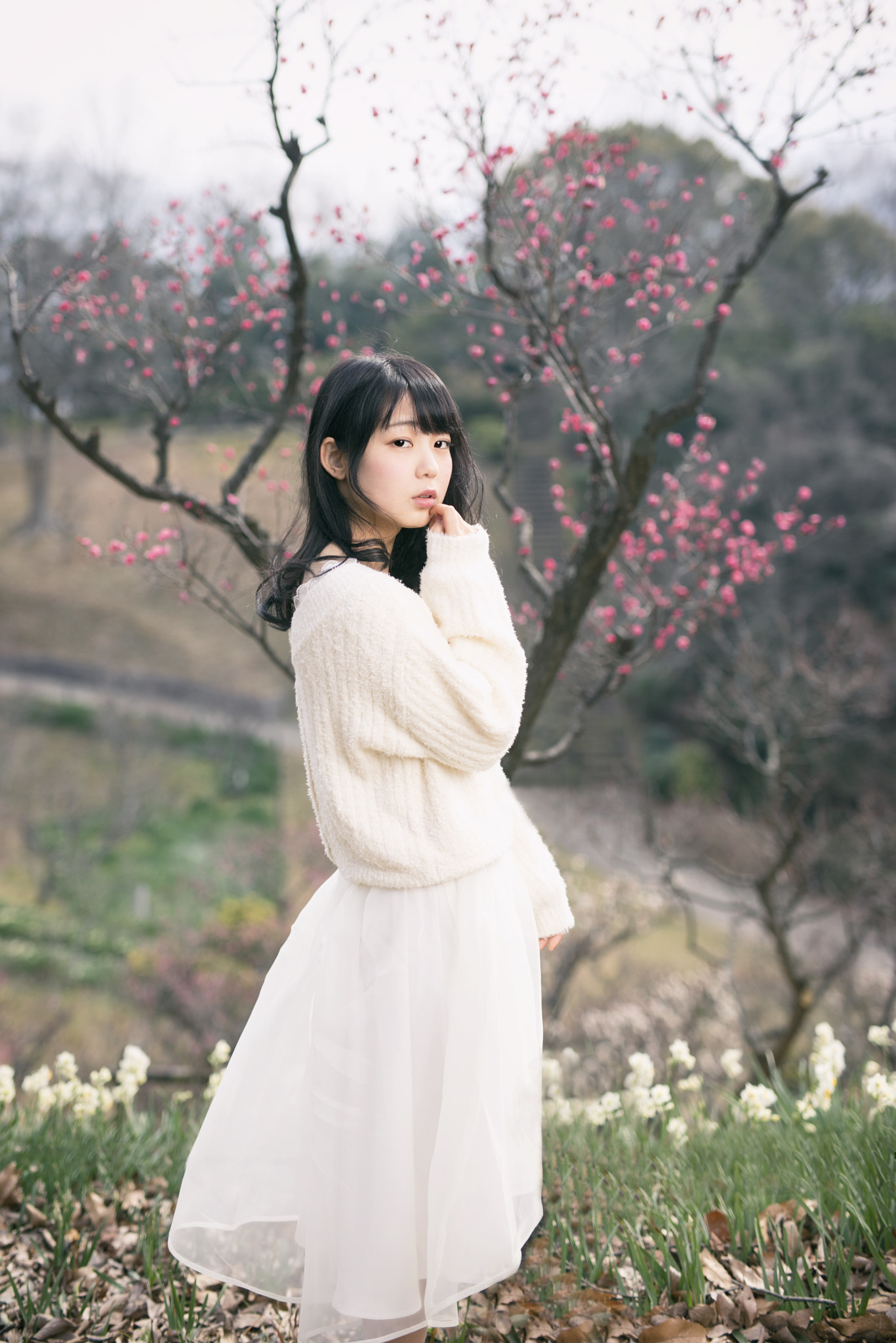 Sigma 50mm F1.4 EX DG HSM sample photo. Sora1 photography