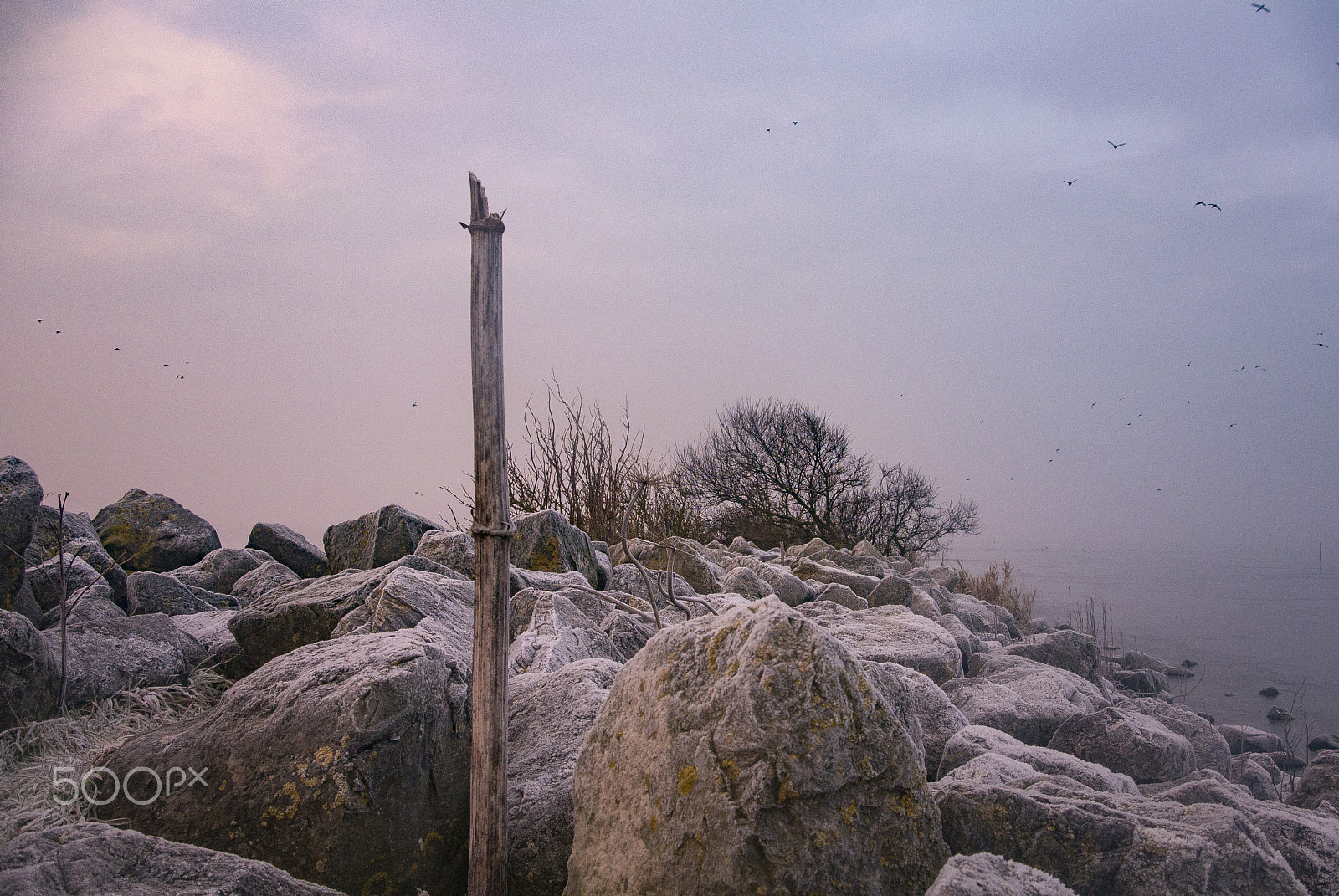Nikon 1 Nikkor 11-27.5mm F3.5-5.6 sample photo. Lauwersmeer photography