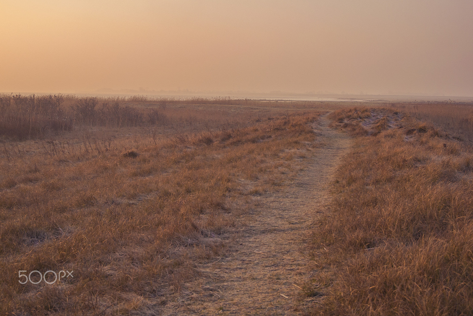 Nikon 1 Nikkor 11-27.5mm F3.5-5.6 sample photo. Lauwersmeer photography