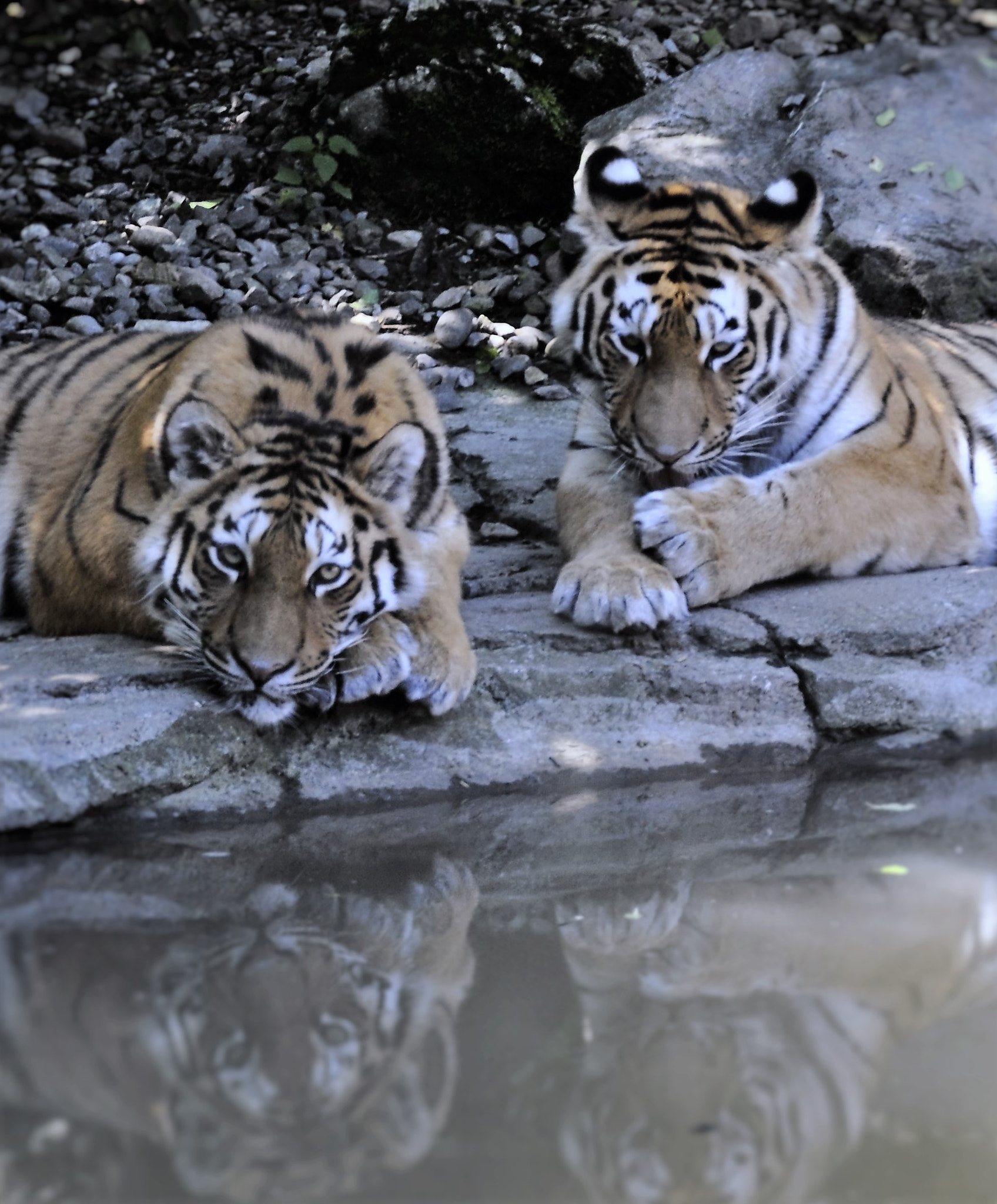 Nikon D5000 sample photo. How do we look in the mirror photography