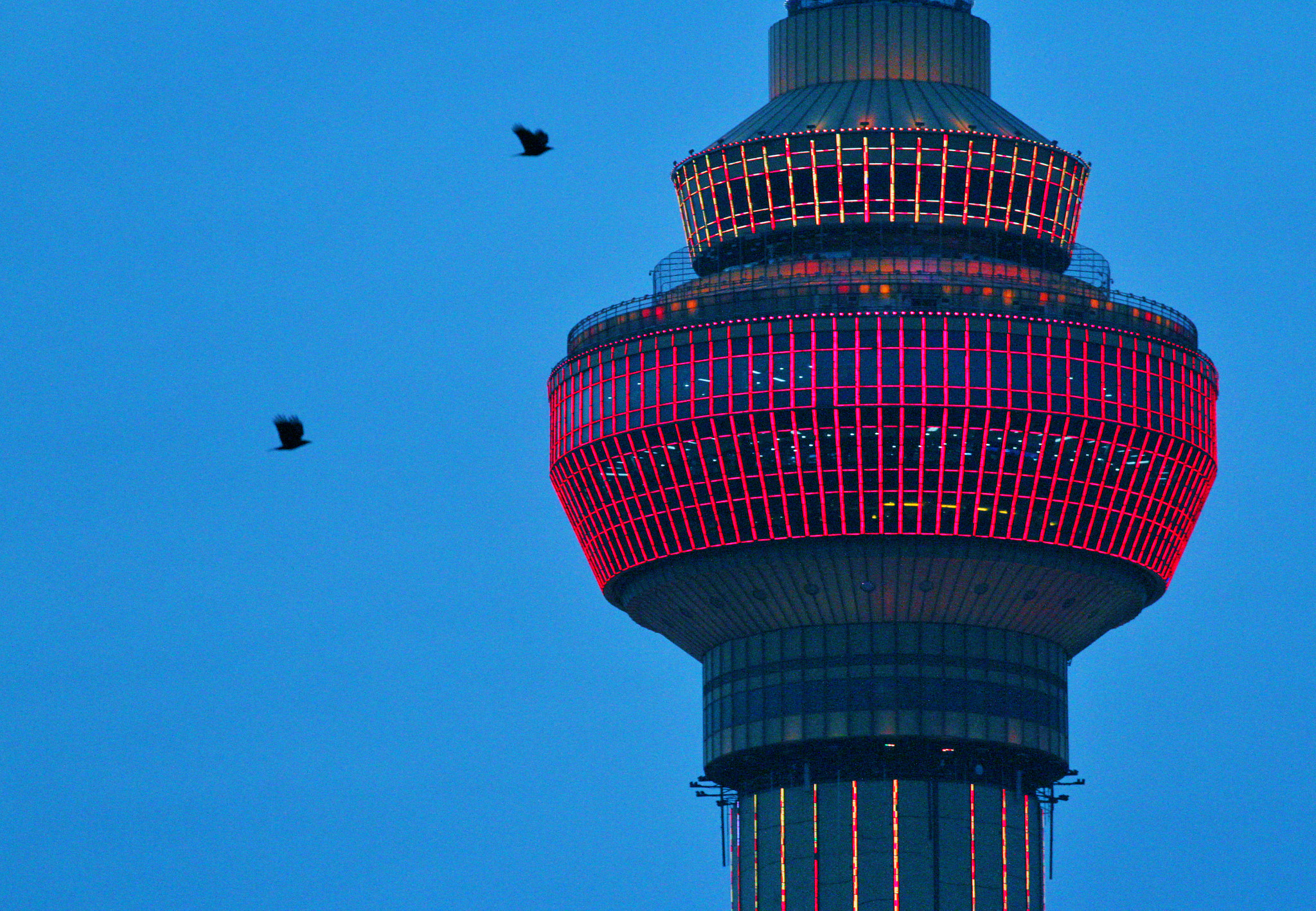 Canon EF 70-300mm F4-5.6L IS USM sample photo. Cctv tower in red photography