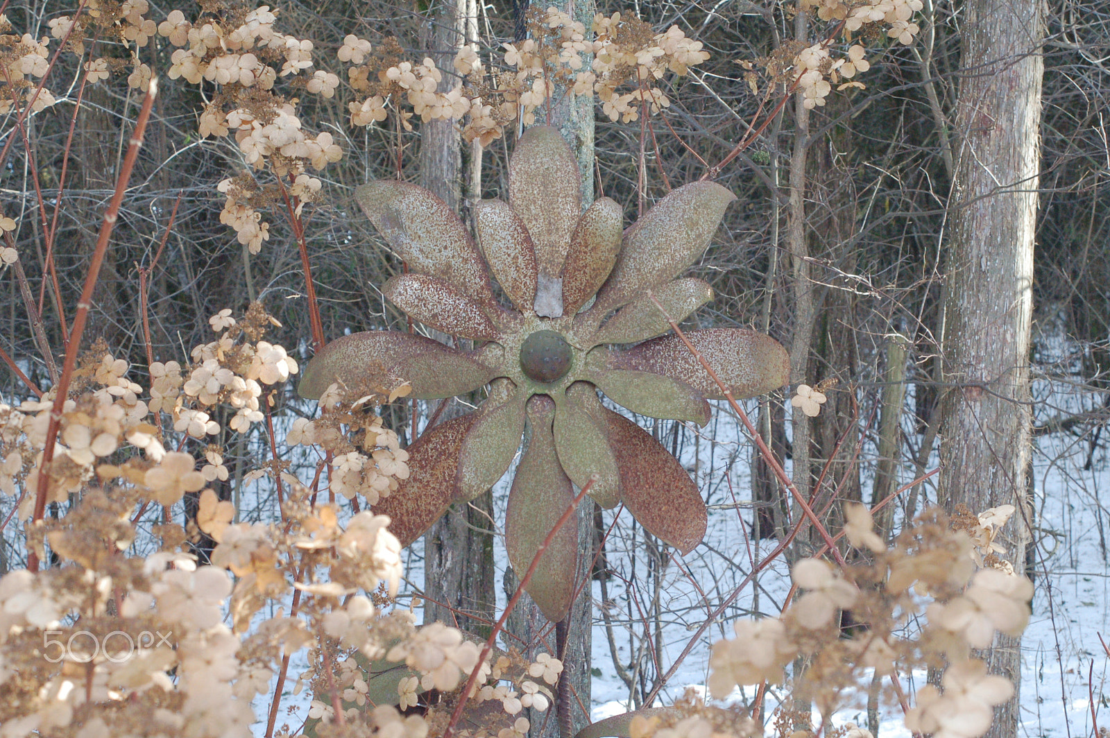 Nikon D50 sample photo. Metal flower photography