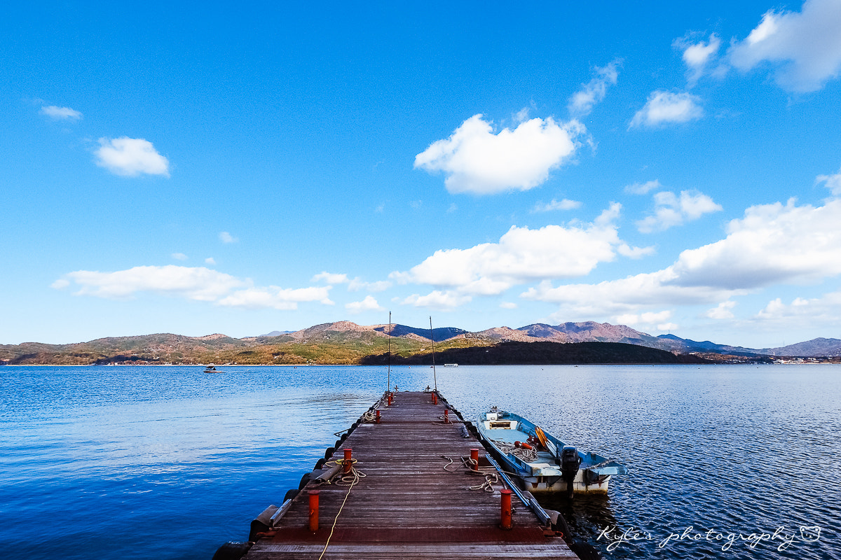 Olympus Zuiko Digital ED 9-18mm F4.0-5.6 sample photo. 山中湖 photography