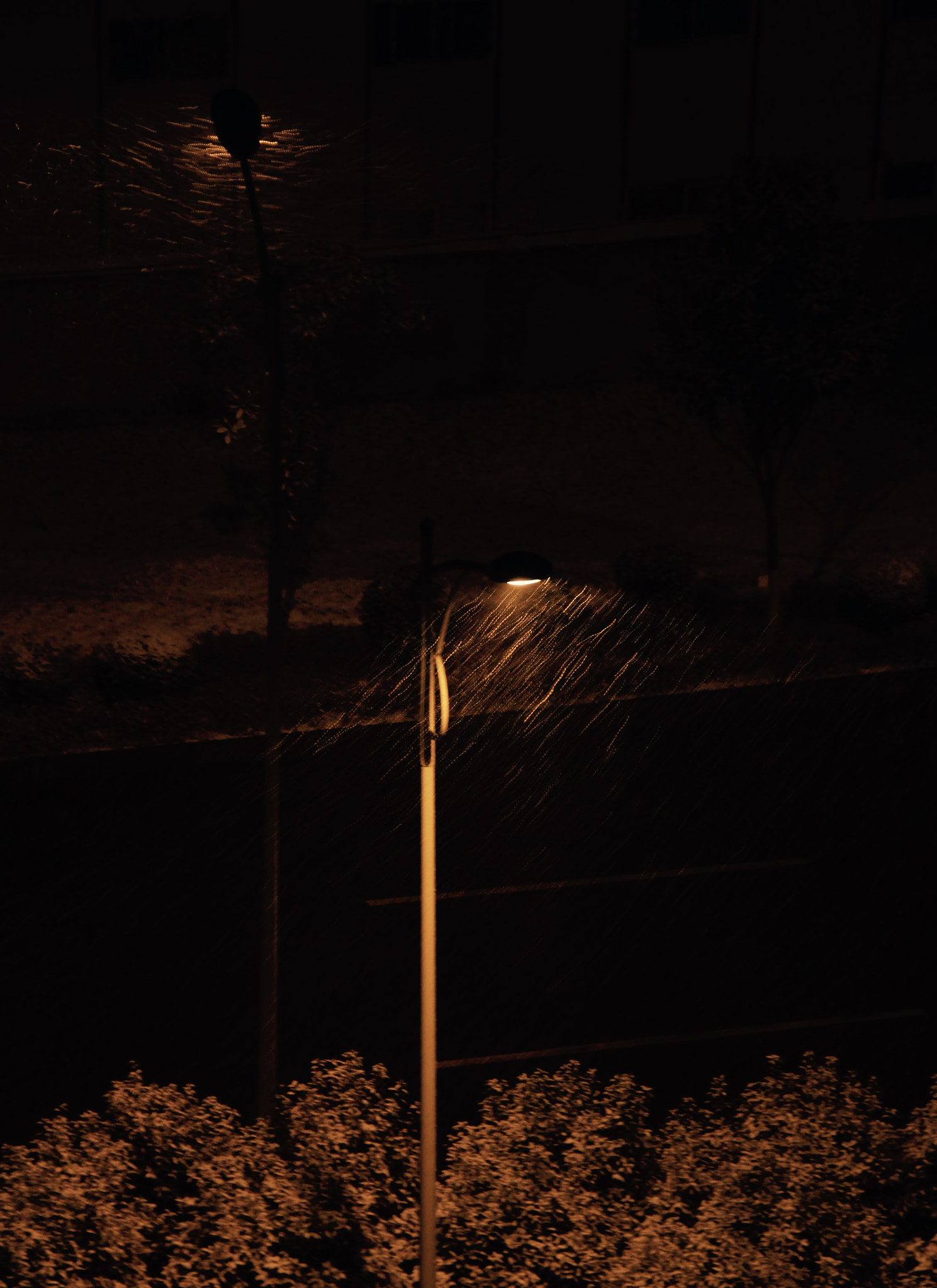 Canon EF-S 18-135mm F3.5-5.6 IS sample photo. Street lamp and snow photography
