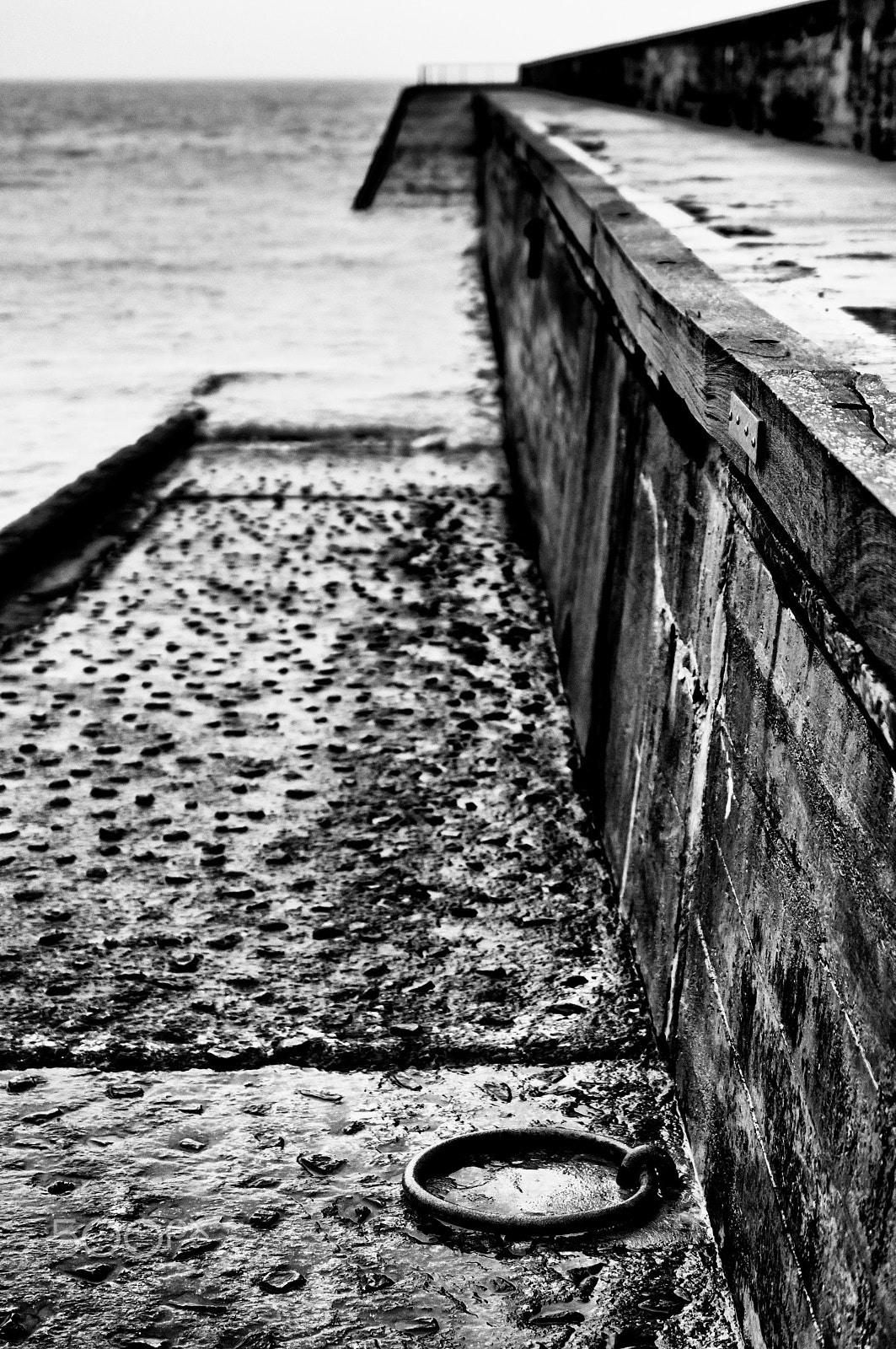 Nikon AF-S DX Micro Nikkor 40mm F2.8 sample photo. L'anneau photography