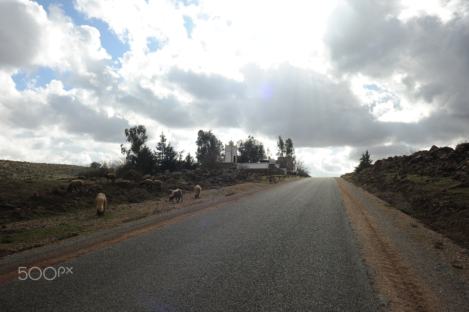 Nikon D700 sample photo. Hajeb-ifrane road 12 (midle atlas) photography