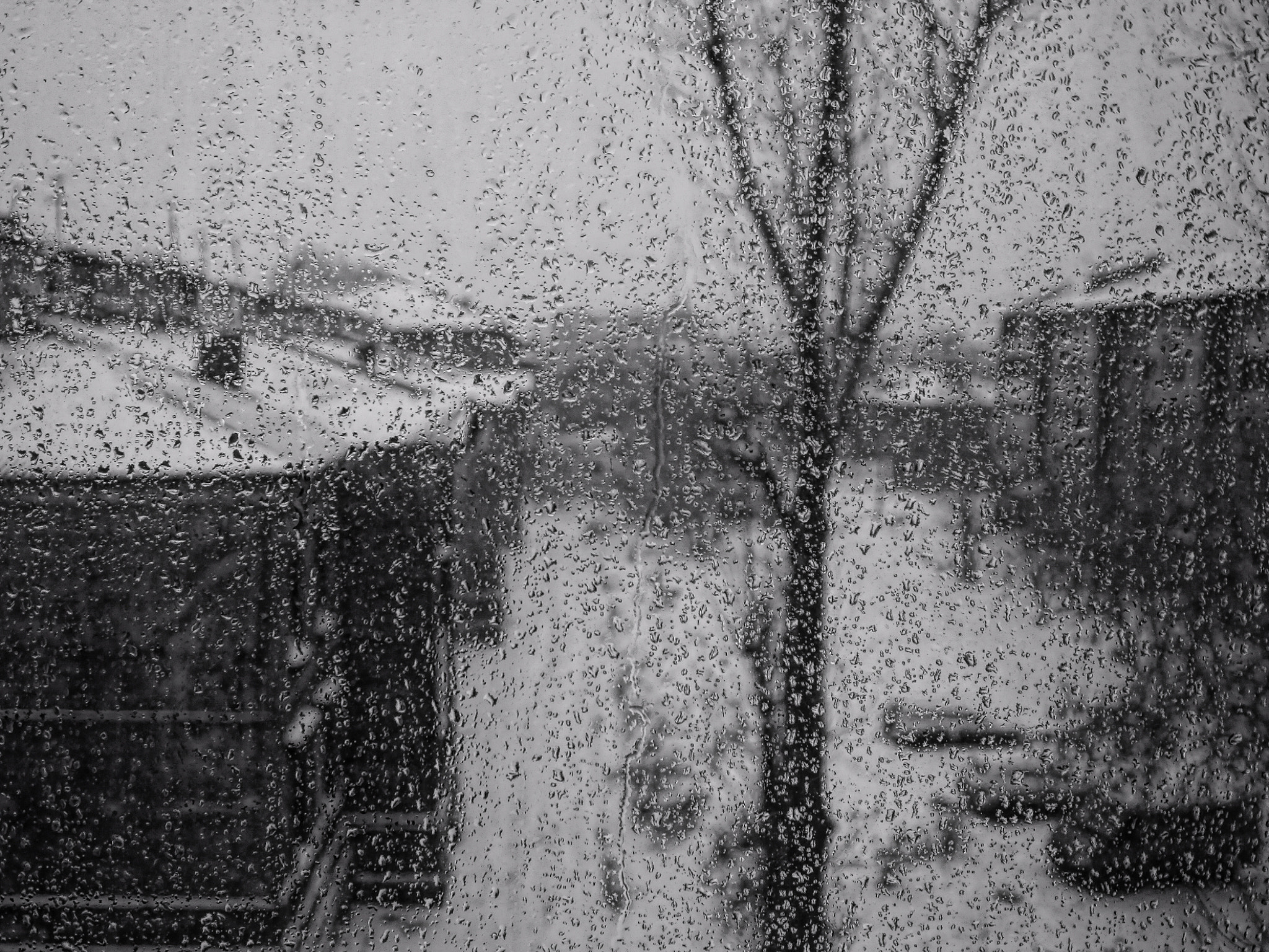 Sigma 18-50mm F2.8-4.5 DC OS HSM sample photo. Gloomy morning photography