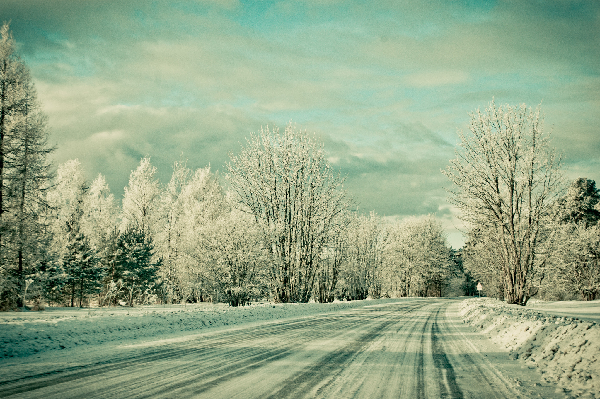 Nikon D40 sample photo. Estonian winter under the snow photography