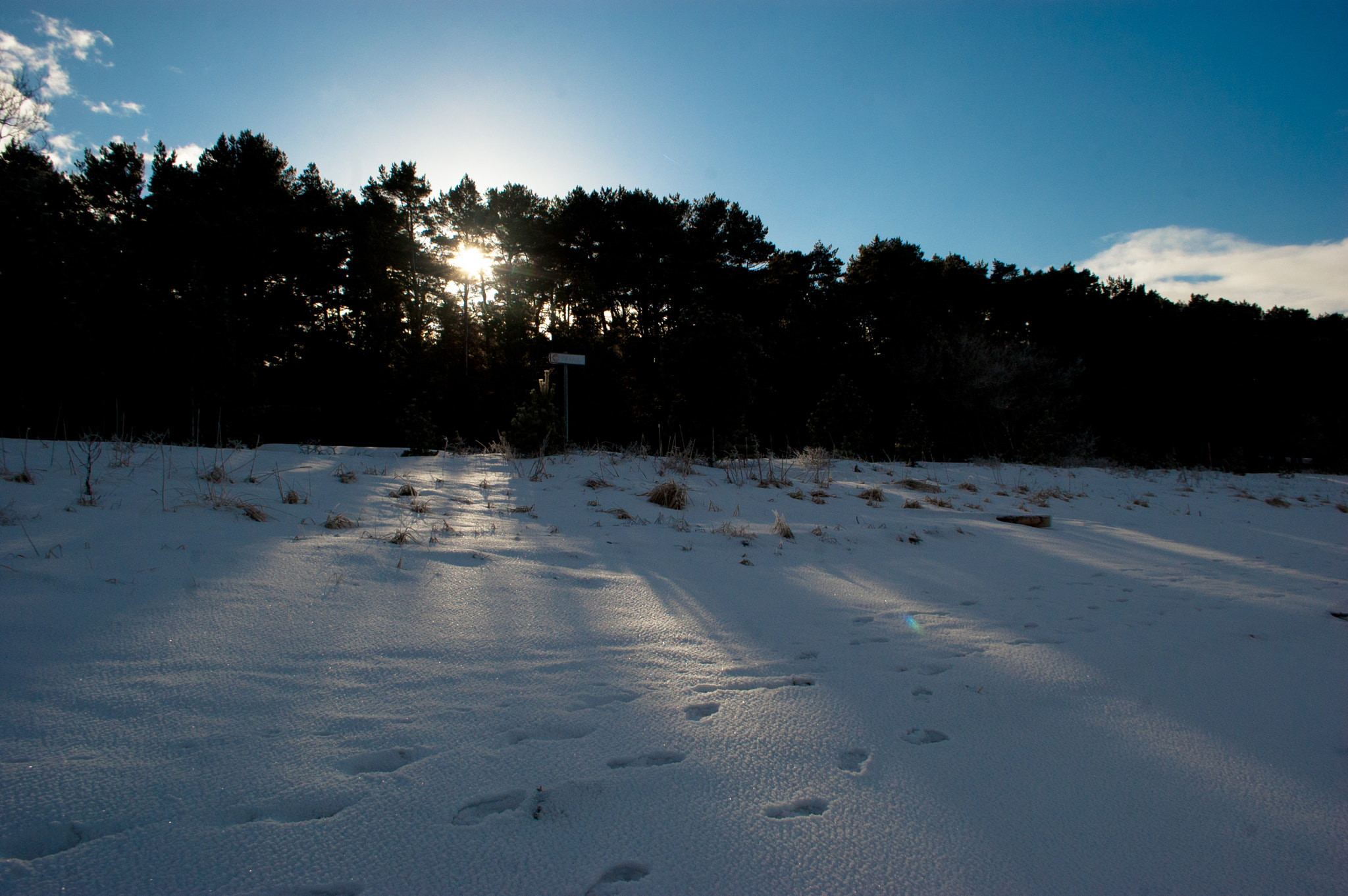 Nikon D40 + Nikon AF-S DX Nikkor 18-55mm F3.5-5.6G VR sample photo. Estonian winter under the snow photography