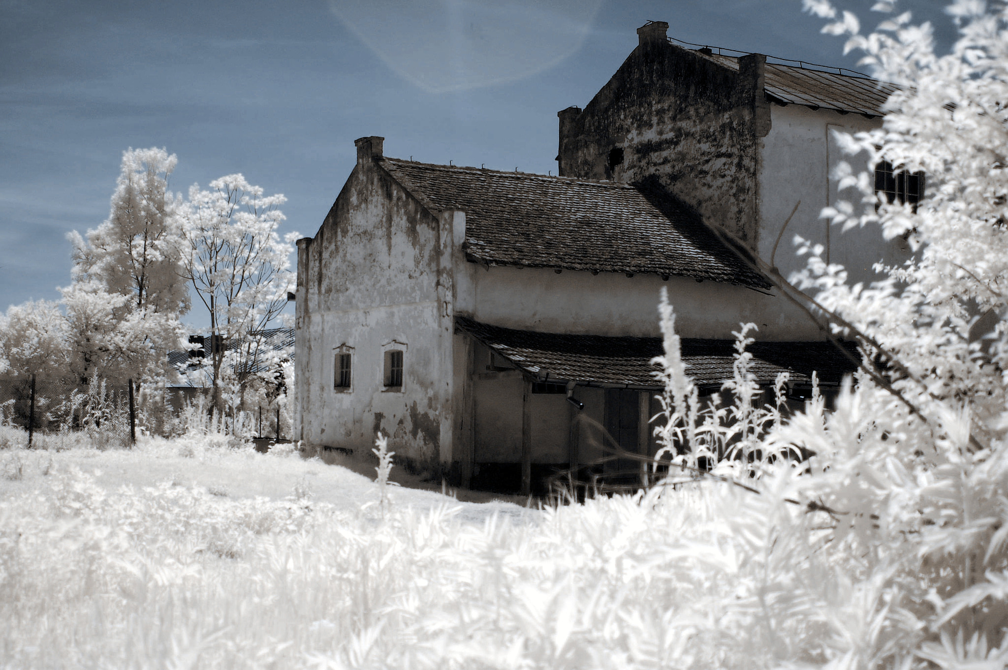 Nikon D50 sample photo. Infrared.mill photography