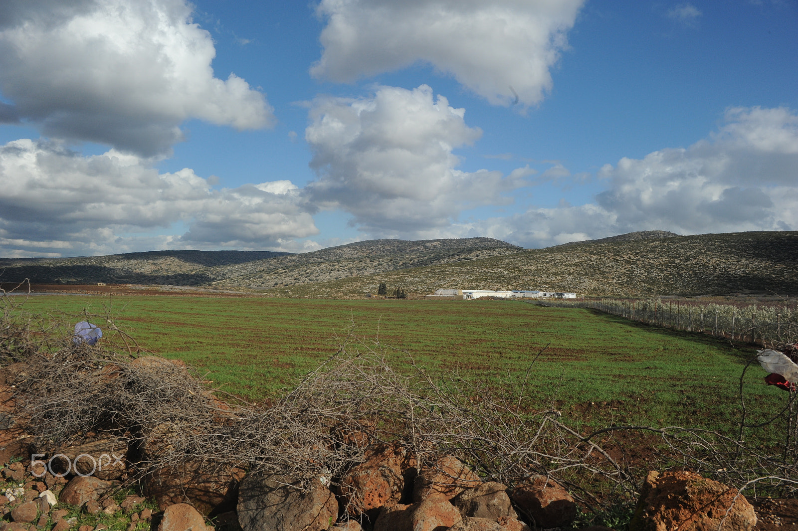 Nikon D700 + Sigma 28-70mm F2.8 EX sample photo. Hajeb-ifrane road 5 (midle atlas) photography