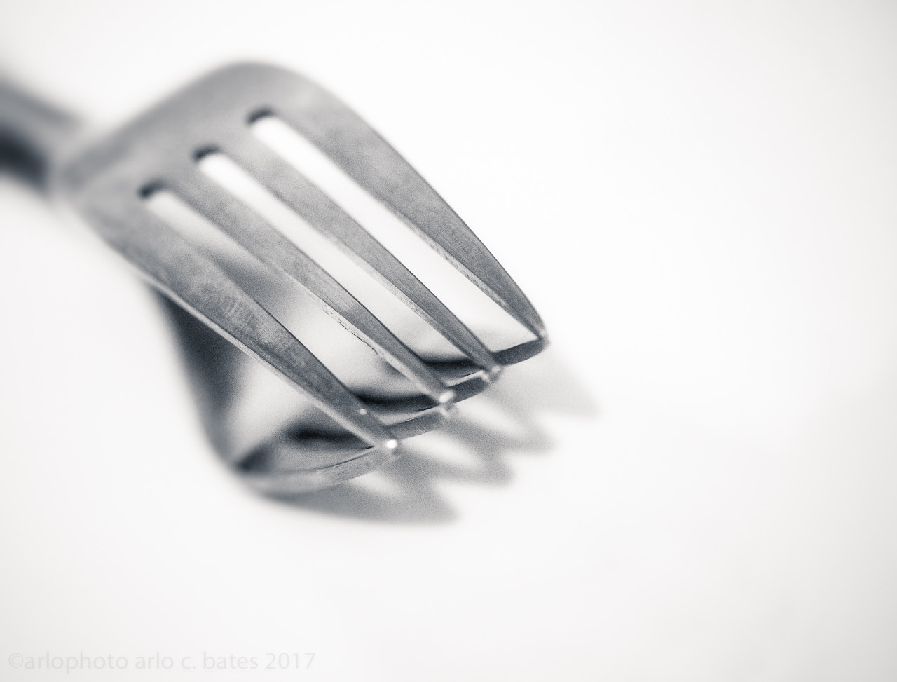 Olympus M.Zuiko Digital ED 60mm F2.8 Macro sample photo. 2017 365 arlophotochallenge 32-365 photography