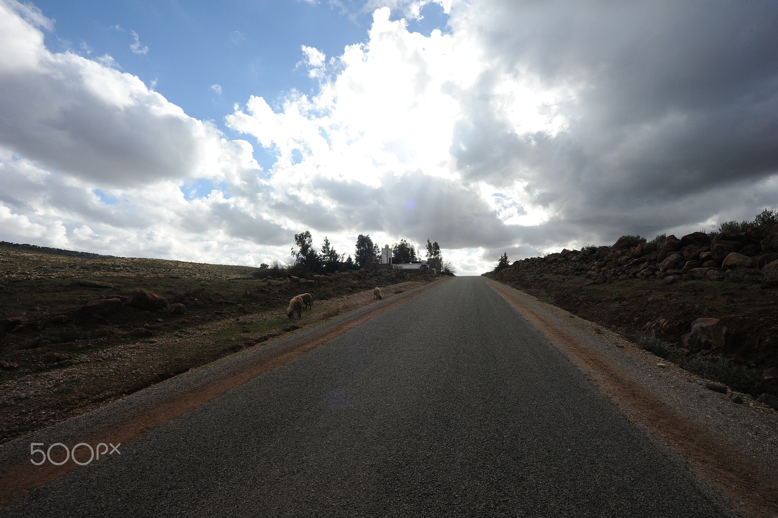 Nikon D700 sample photo. Midle atlas , road to the sky... photography