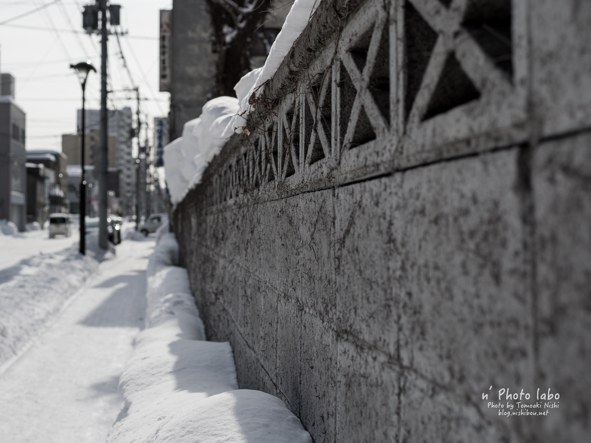 Olympus OM-D E-M1 Mark II + Sigma 30mm F1.4 DC DN | C sample photo. Block fence photography