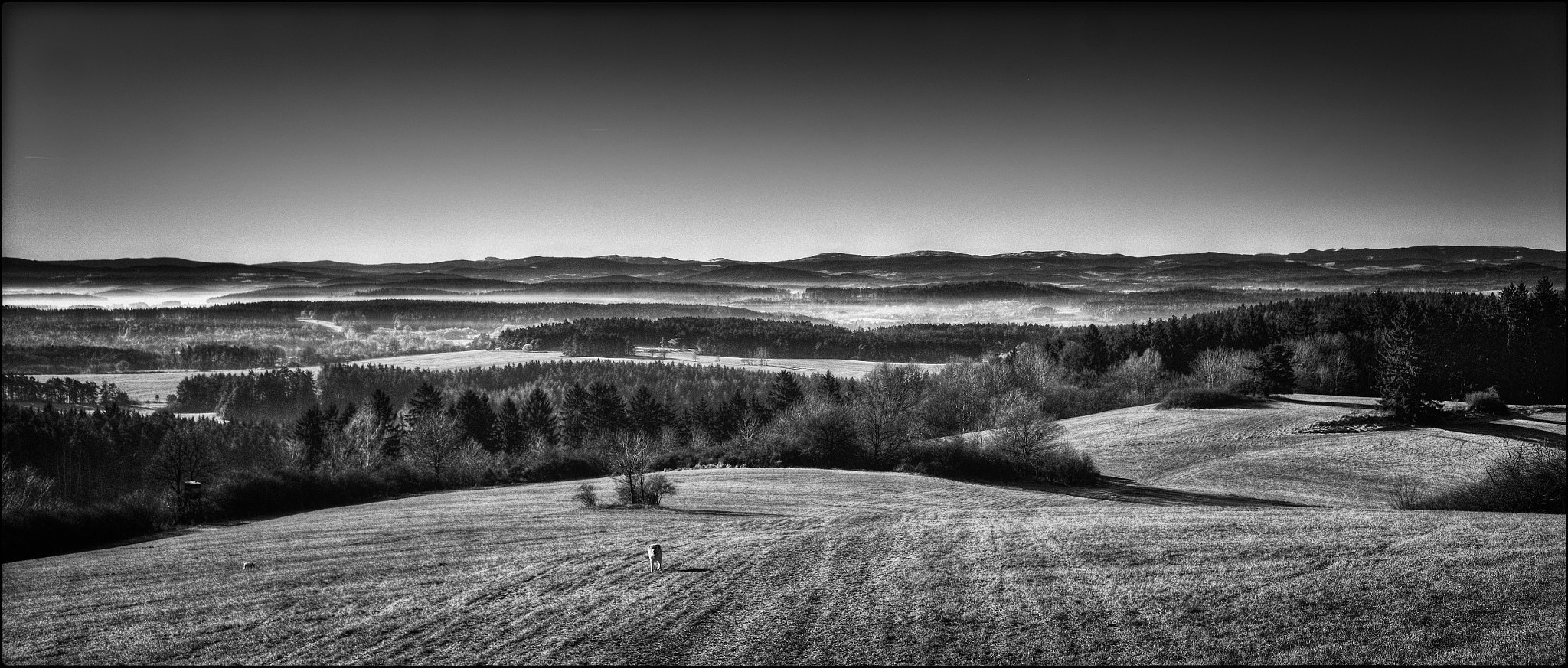 Fujifilm XF 27mm F2.8 sample photo. Sumava fog photography