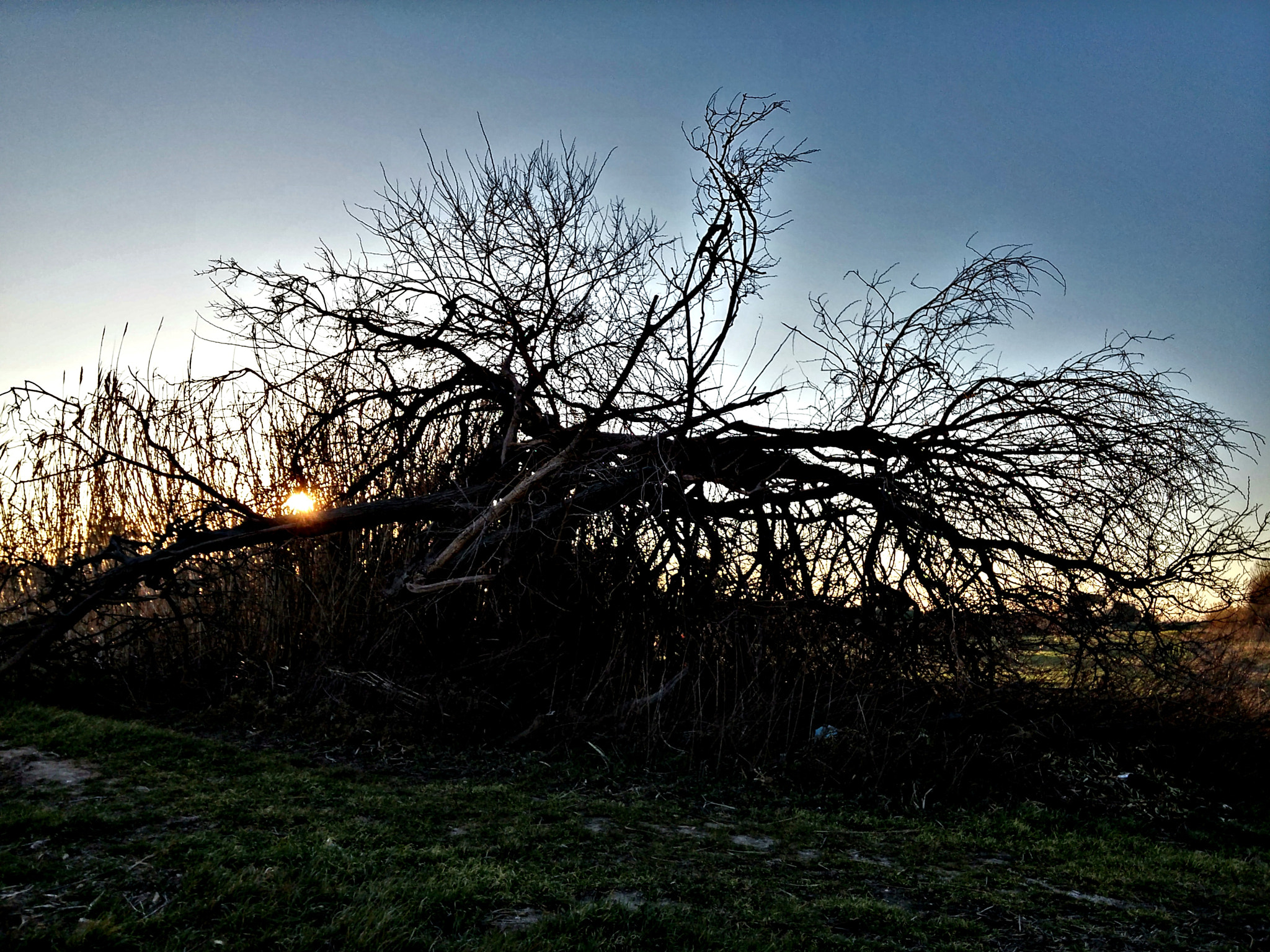 LG G FLEX2 sample photo. Il tramonto segnato dal vento photography