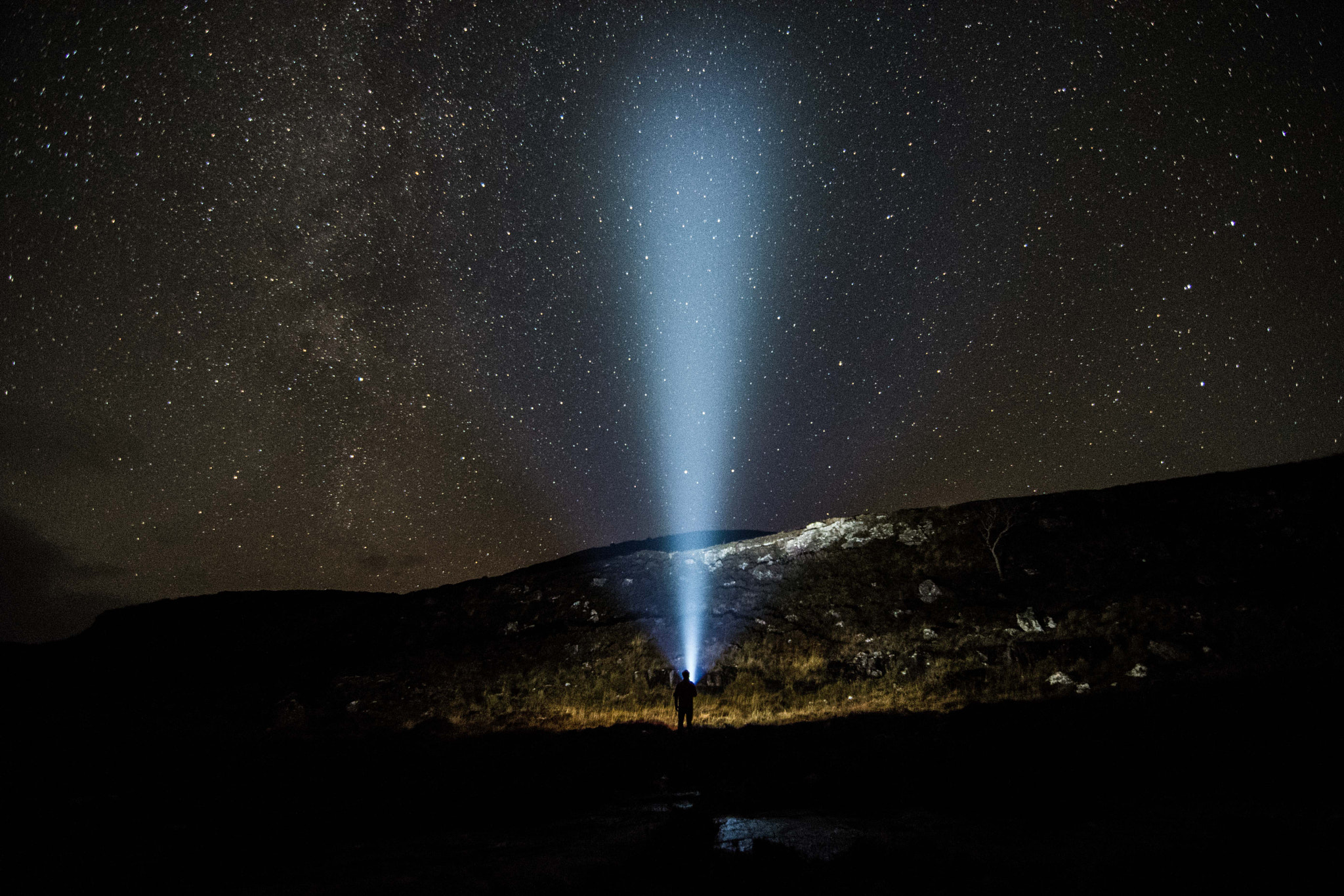 Nikon D500 sample photo. Searching for stars photography