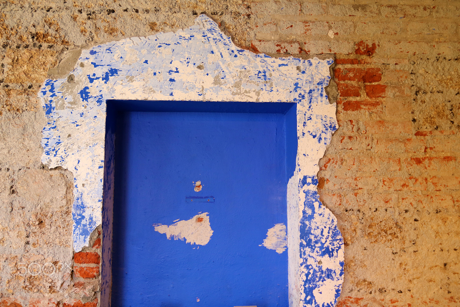 Canon EOS 750D (EOS Rebel T6i / EOS Kiss X8i) sample photo. Detail, frida's blue house photography