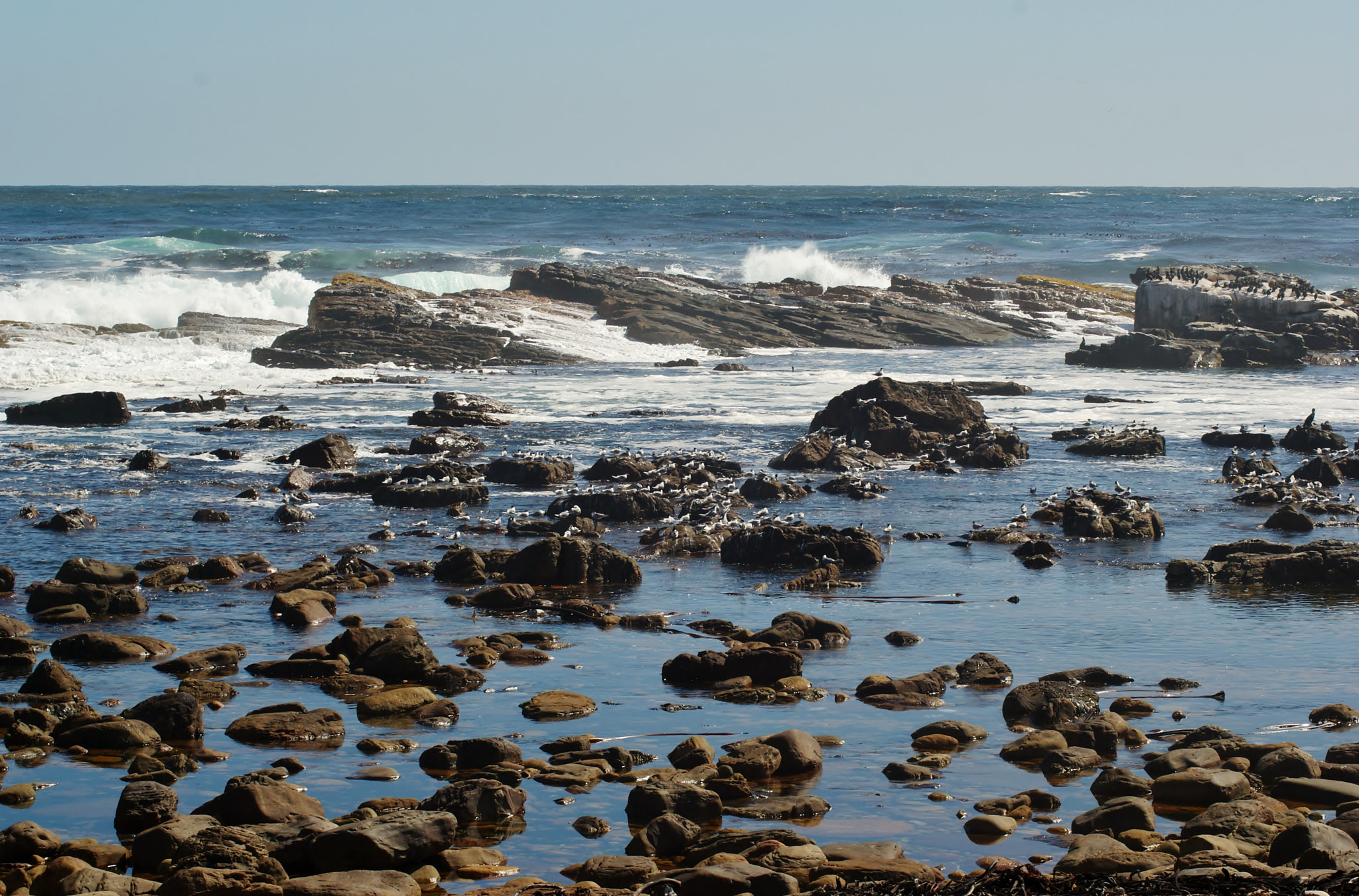 Sony Alpha DSLR-A200 + Tamron Lens (255) sample photo. Atlantic ocean from cape of good hope photography