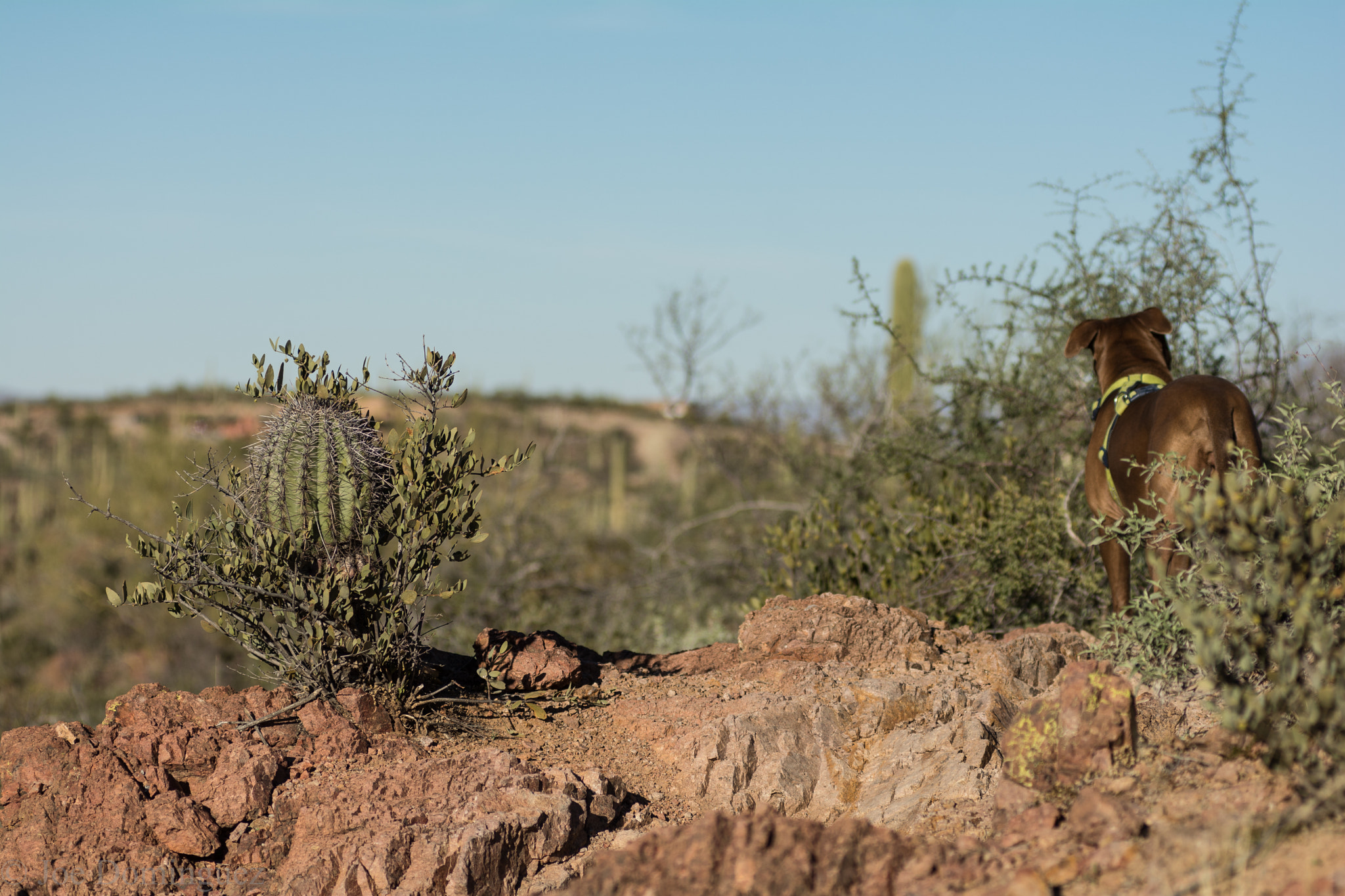 Nikon AF-Nikkor 80-200mm F2.8D ED sample photo. Hiking in the desert. photography