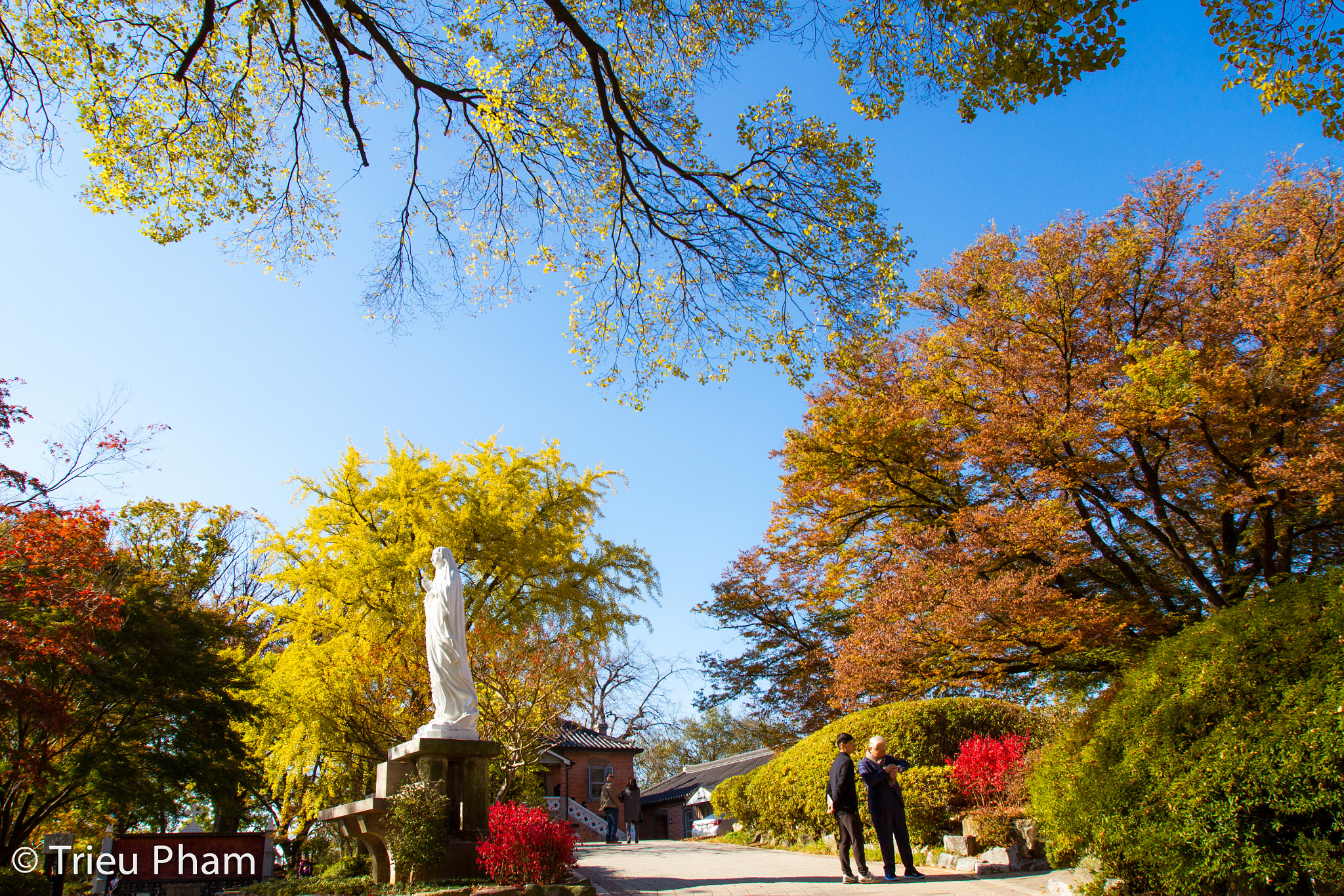 Canon EOS 7D + Canon EF 16-35mm F2.8L USM sample photo. Korean autumn photography