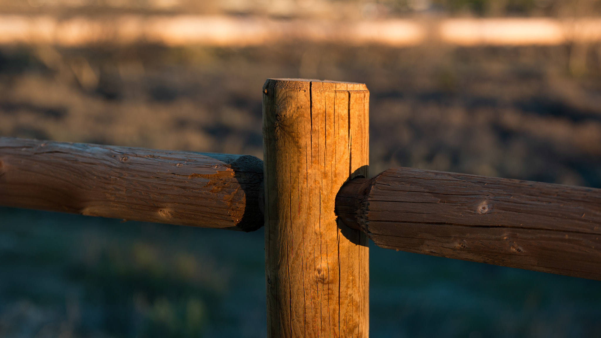 Canon EF 24-70mm F2.8L II USM sample photo