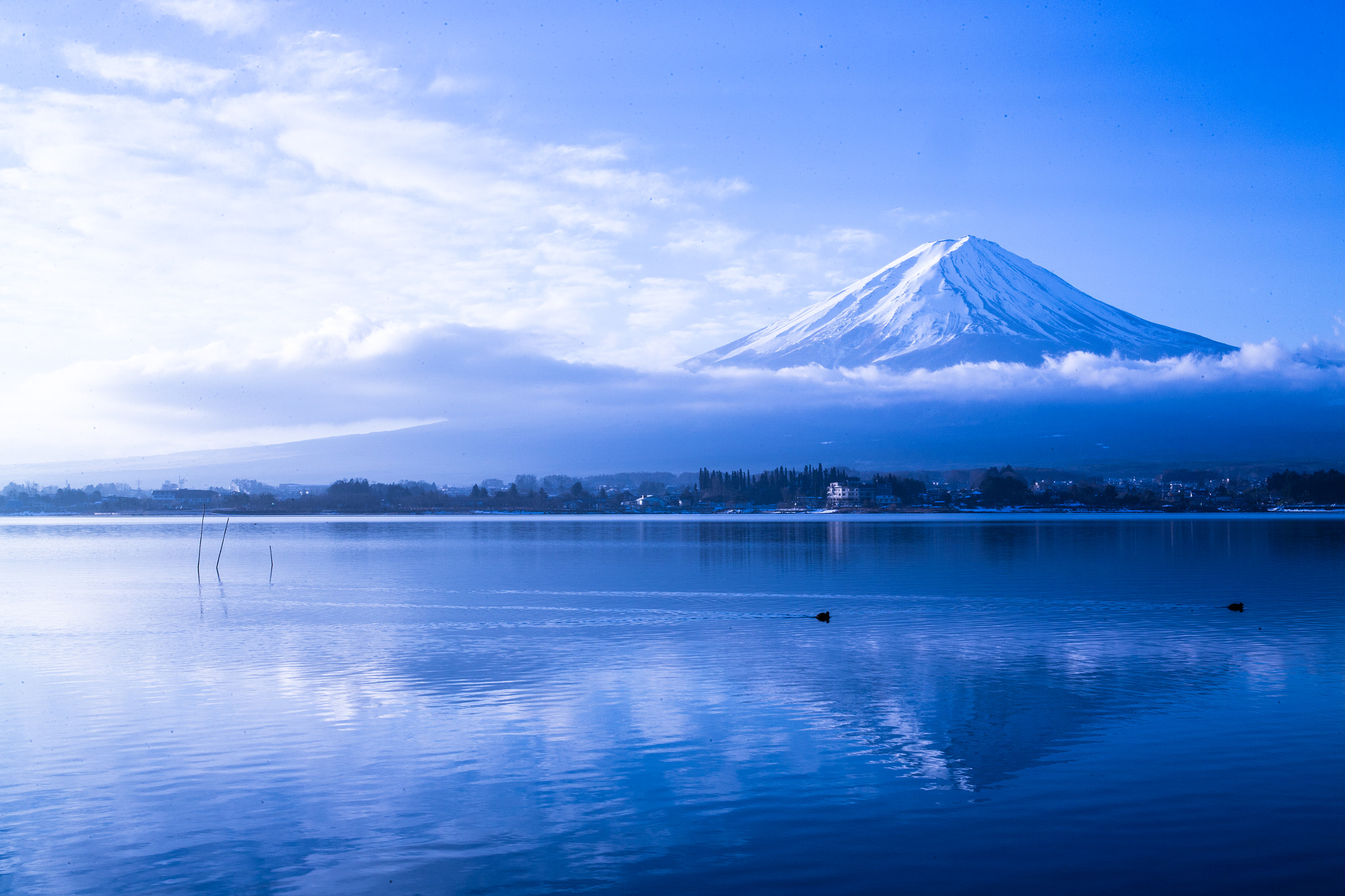 Canon EF 24-70mm F4L IS USM sample photo. Beautiful fuji japan photography