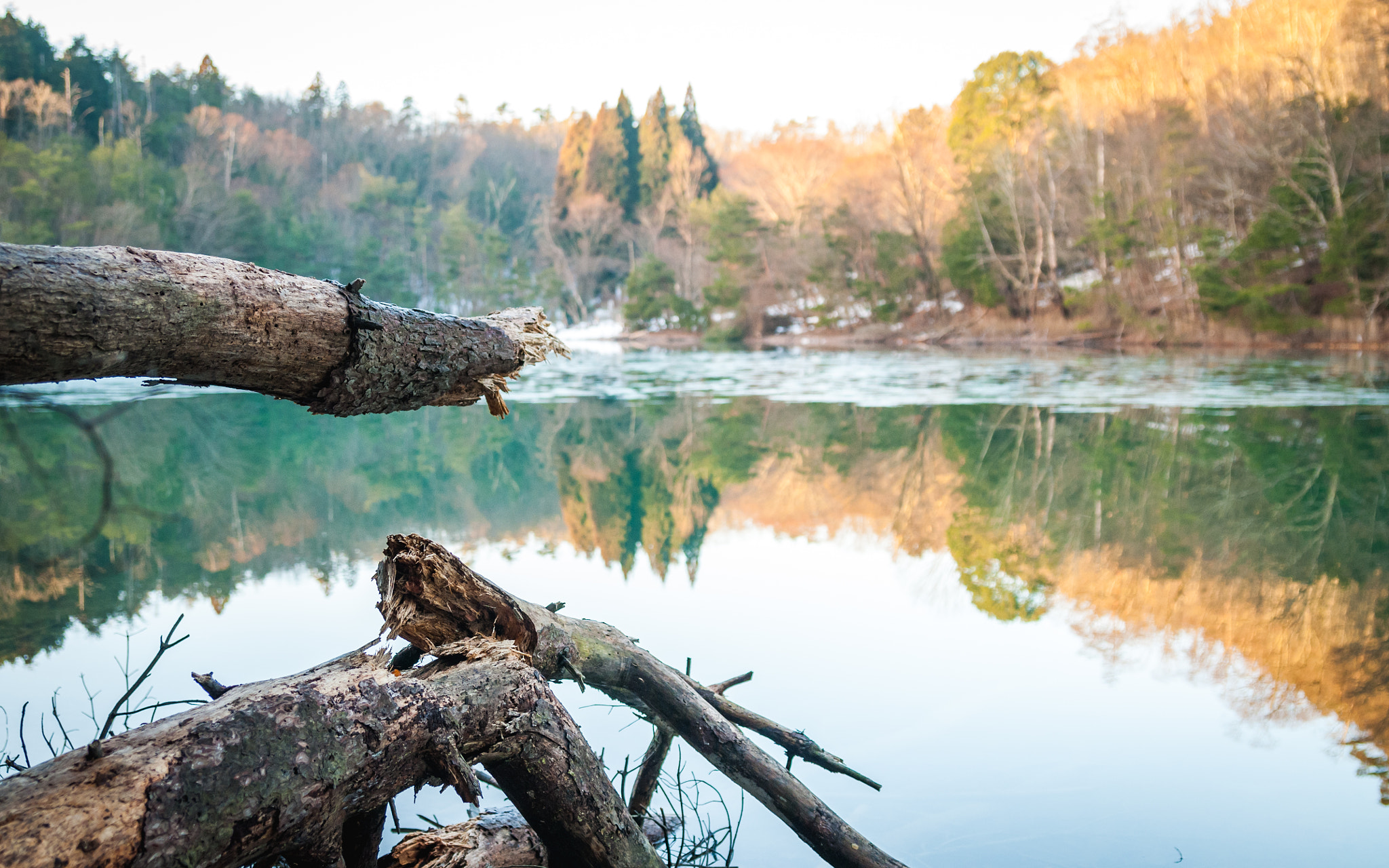 Nikon D300 sample photo. Watter mirror photography