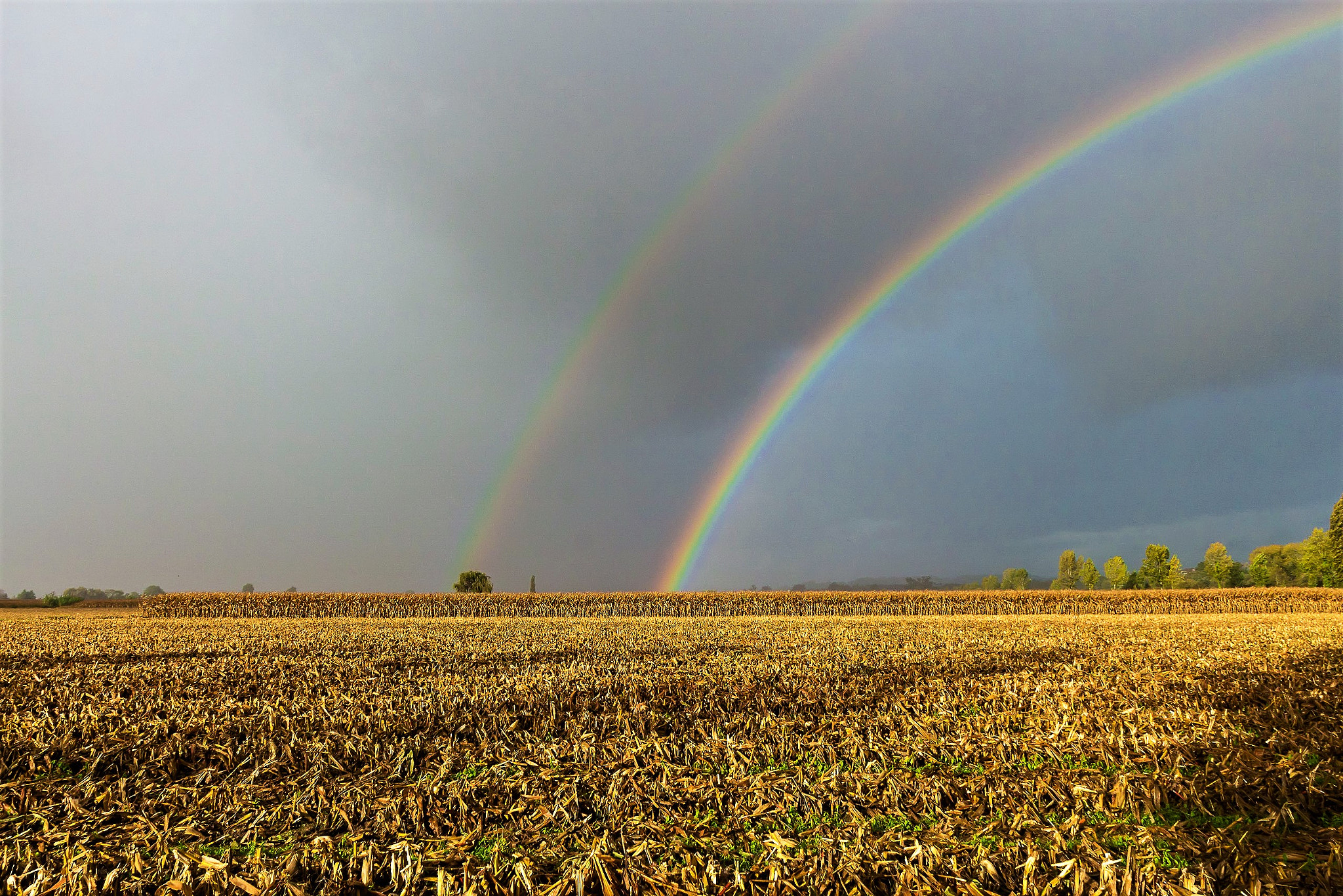 Canon EOS 700D (EOS Rebel T5i / EOS Kiss X7i) + Tamron AF 18-270mm F3.5-6.3 Di II VC LD Aspherical (IF) MACRO sample photo. Rainbows in the mondego fields photography