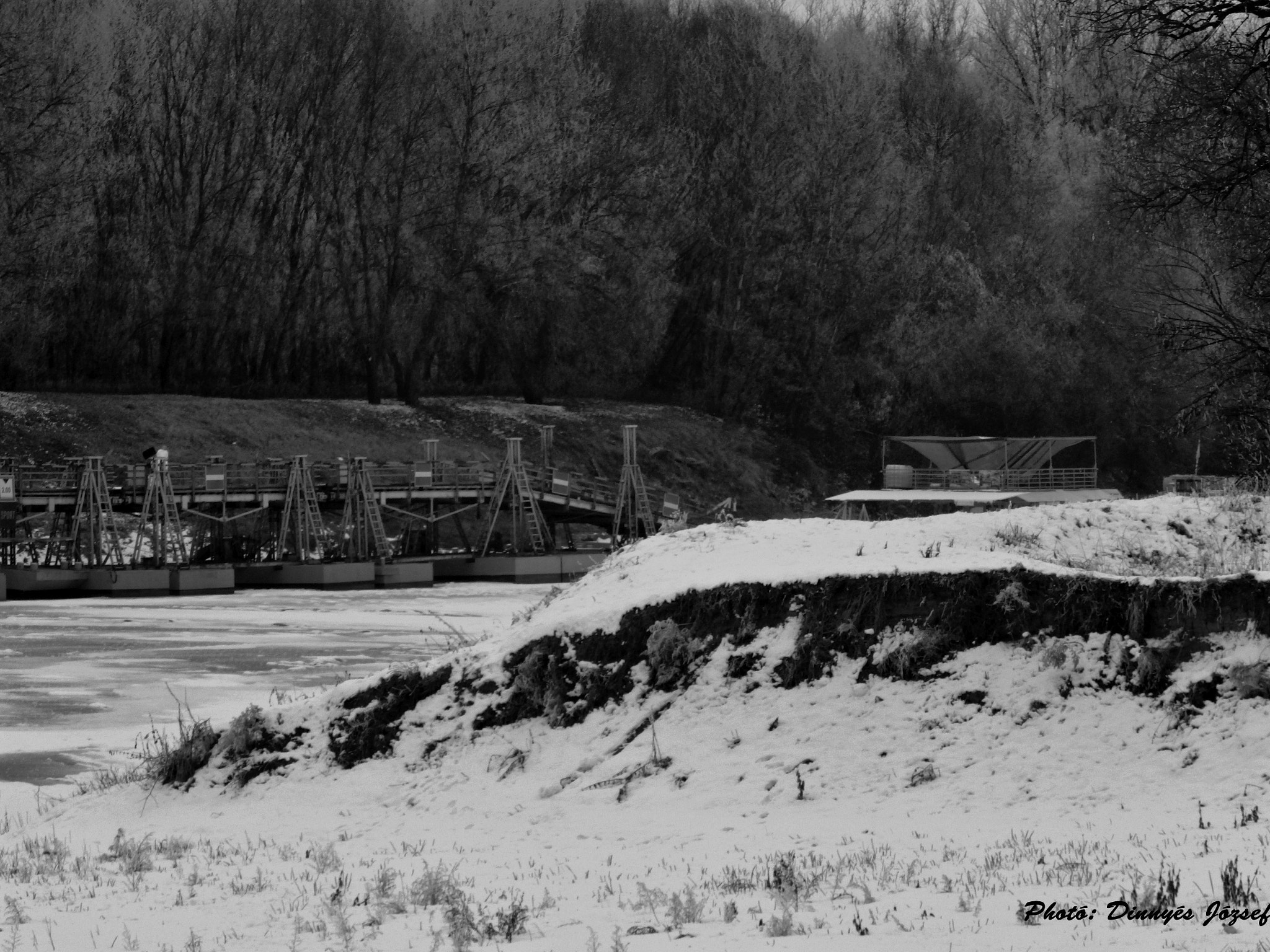 Pentax X-5 sample photo. Imgp photography